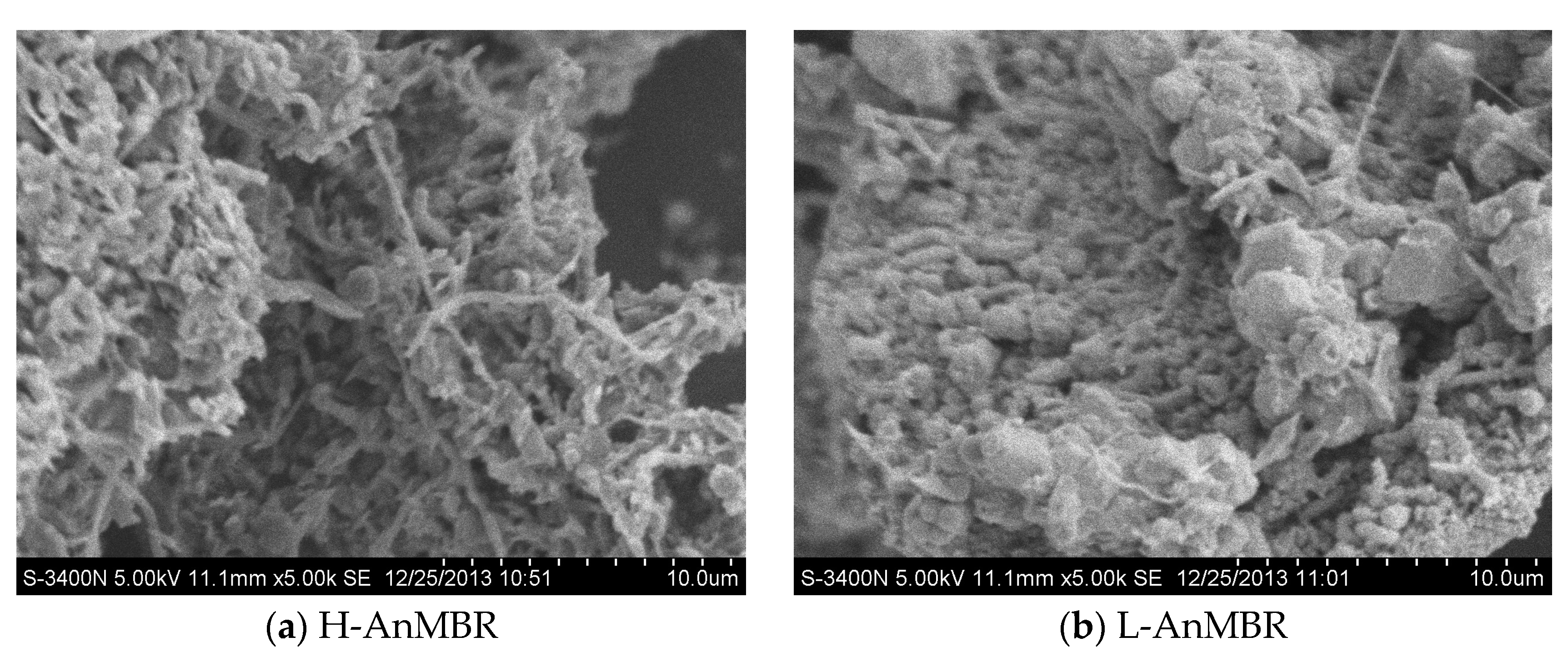 Water 12 02958 g007a