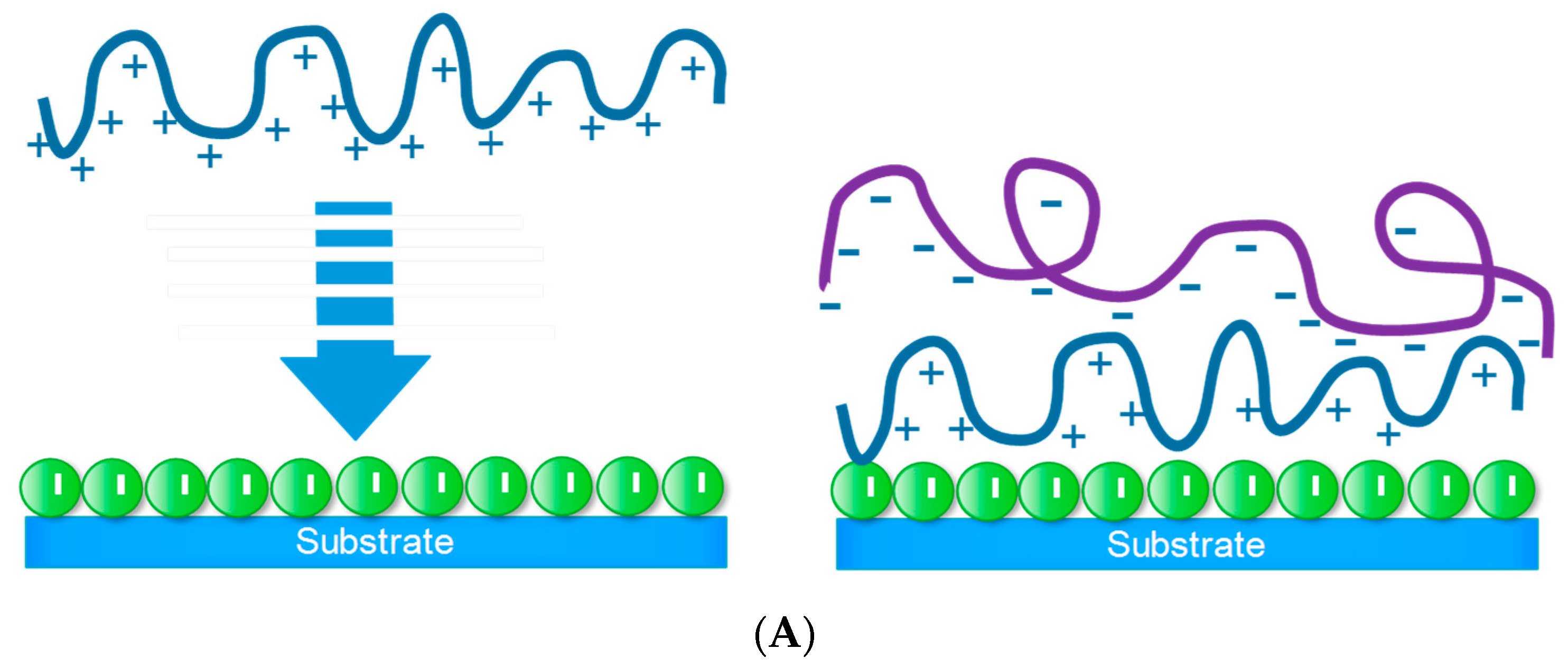 Water 12 02964 g005a Water 12 02964 g005a