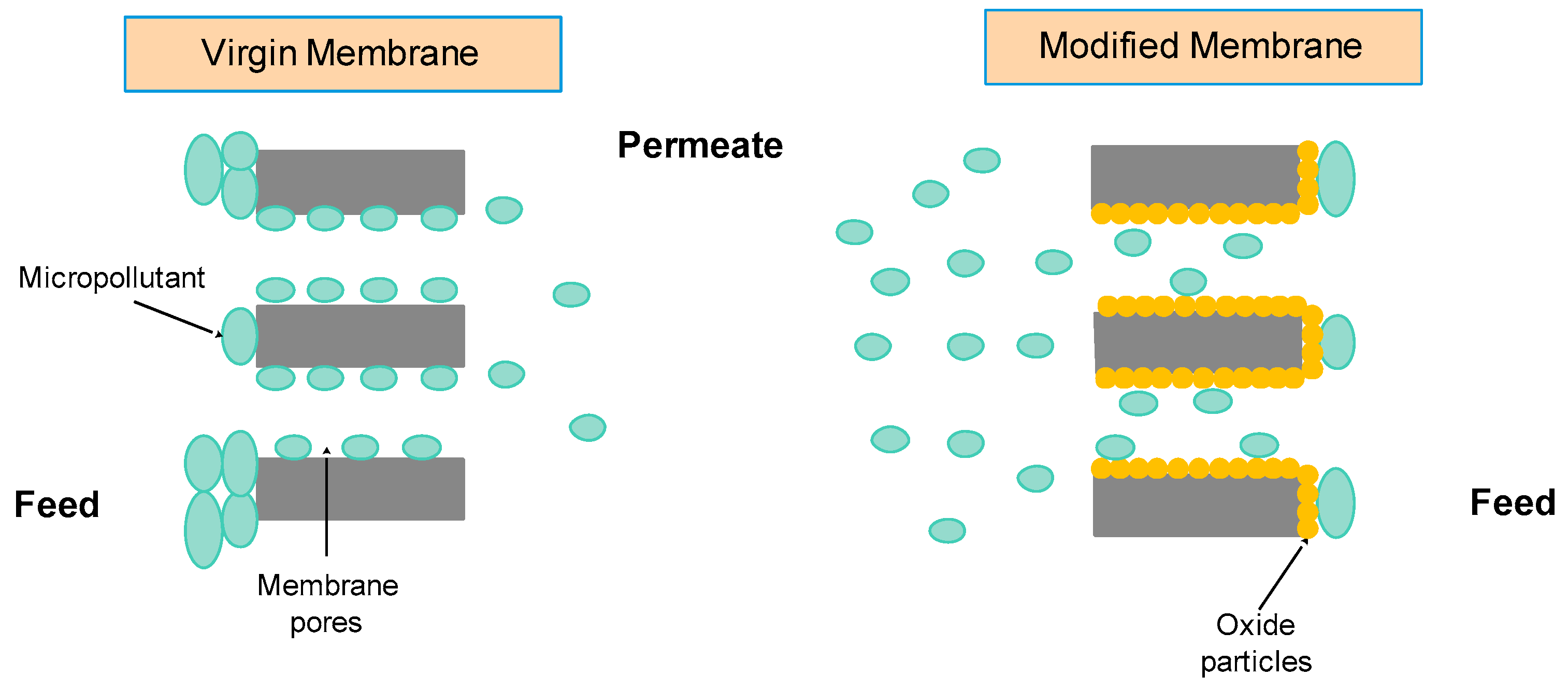 Water 12 02964 g006 Water 12 02964 g006