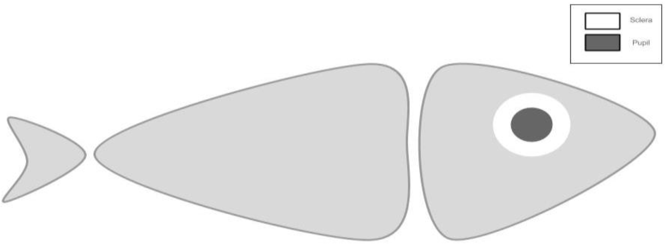 Water 12 03013 g004 Water 12 03013 g004