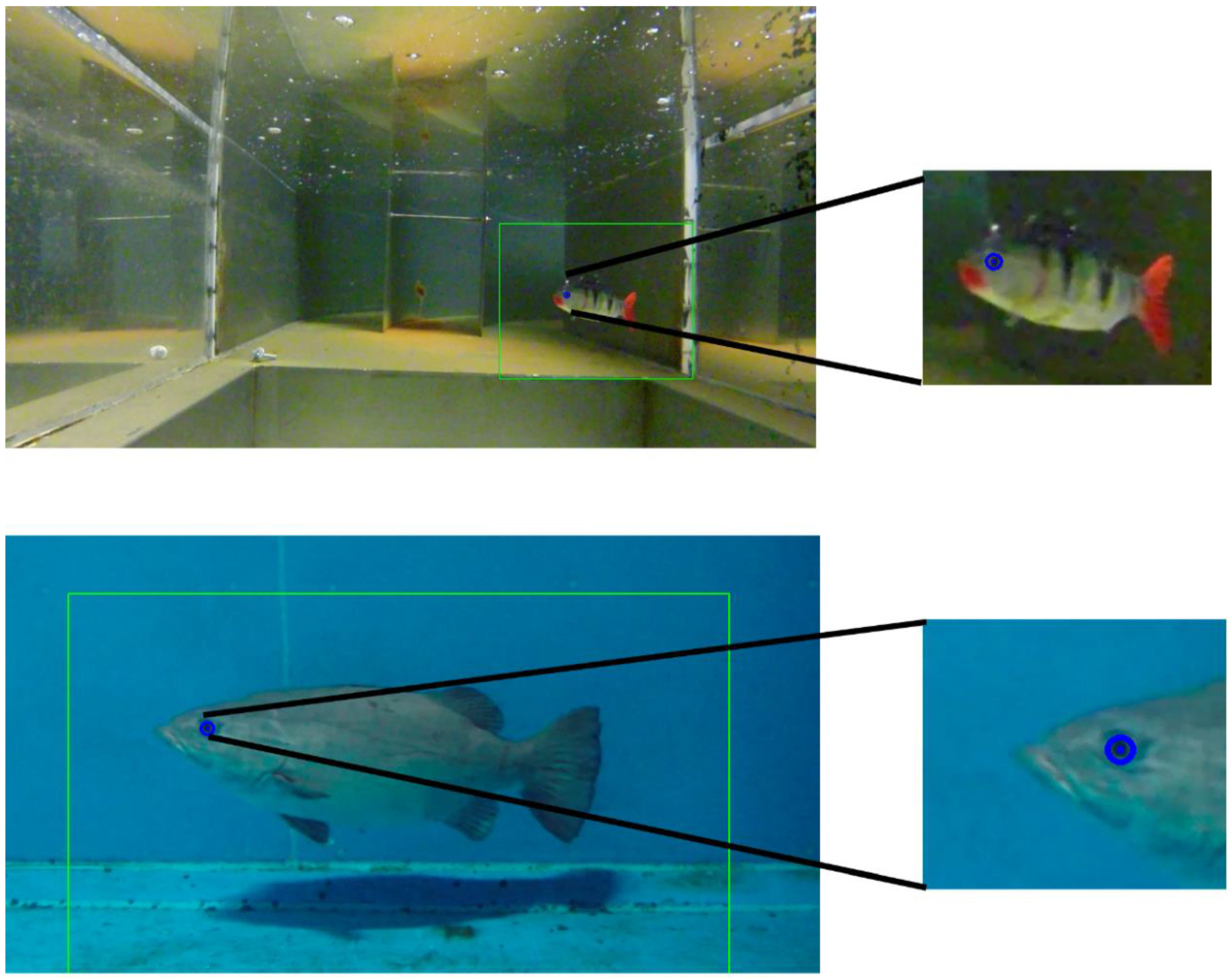 Water 12 03013 g006 Water 12 03013 g006