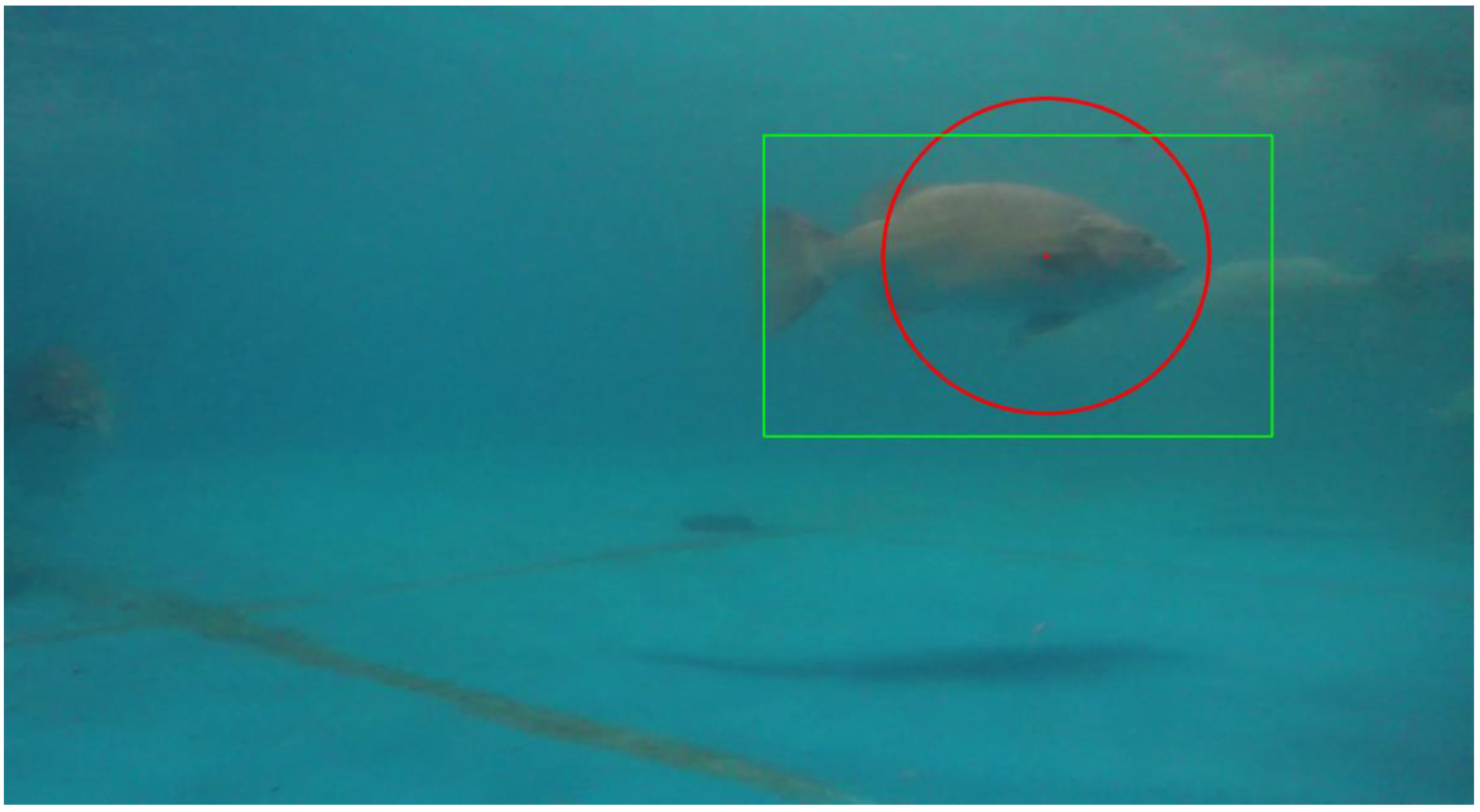 Water 12 03013 g011 Water 12 03013 g011