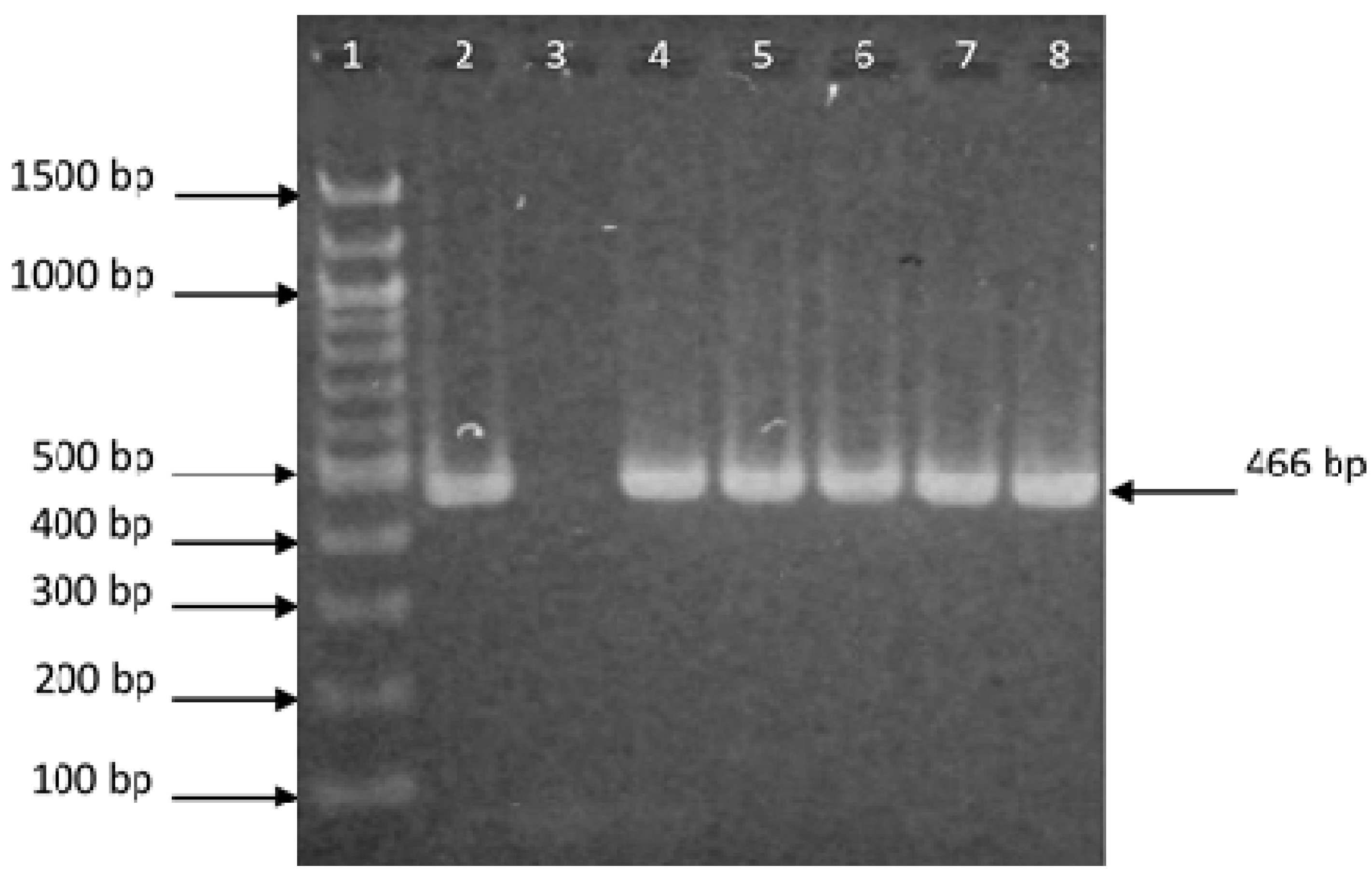 Water 12 03045 g003 Water 12 03045 g003