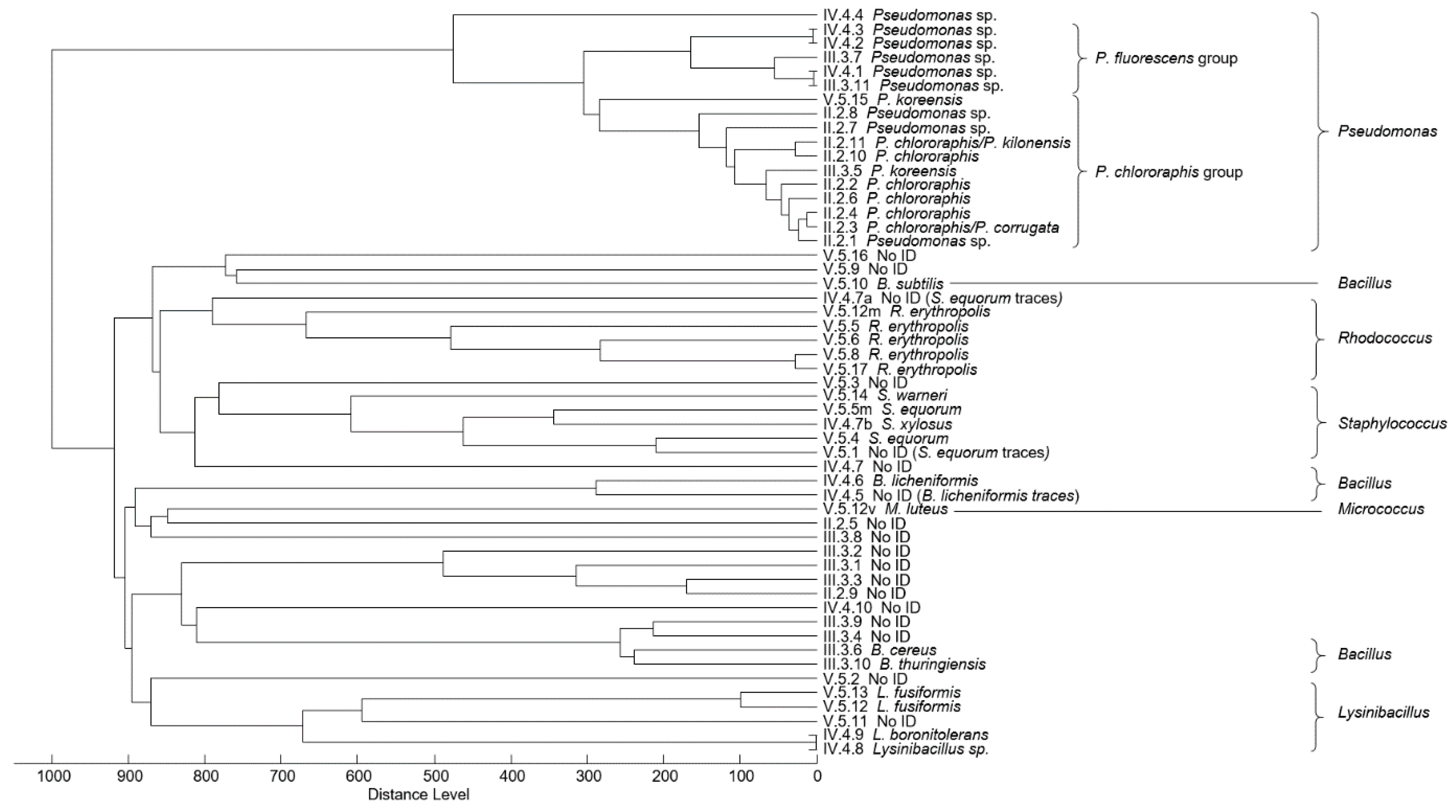 Water 12 03045 g004 Water 12 03045 g004