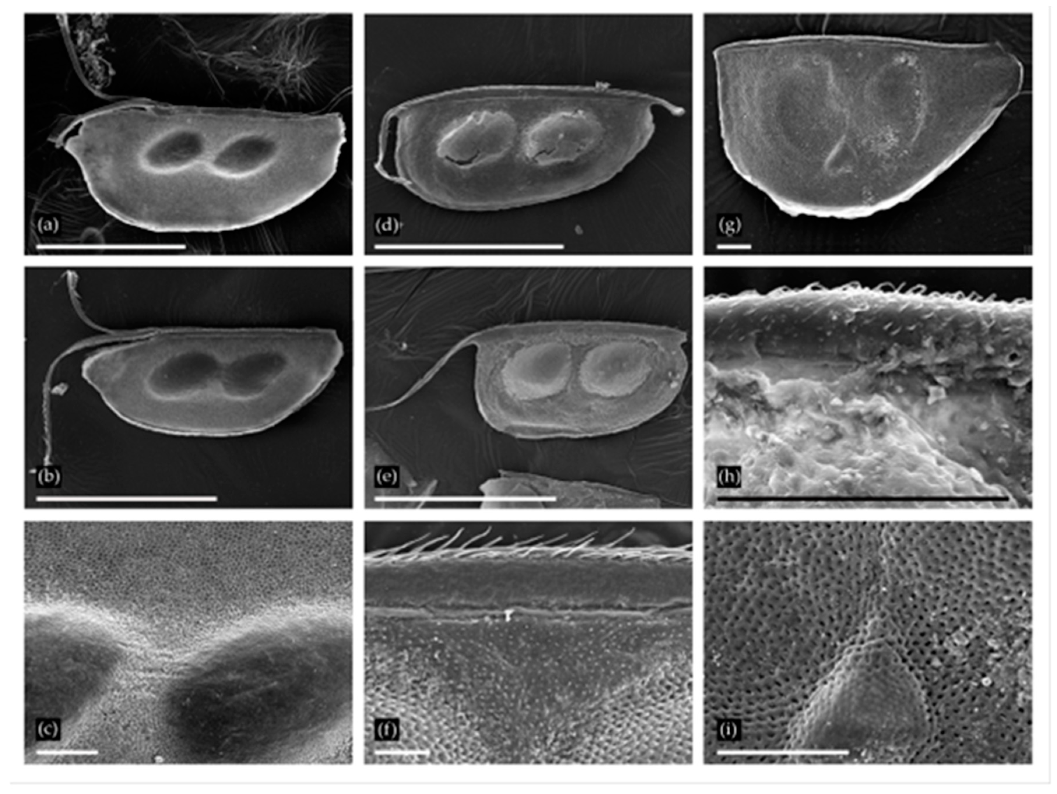 Water 12 03063 g002 Water 12 03063 g002