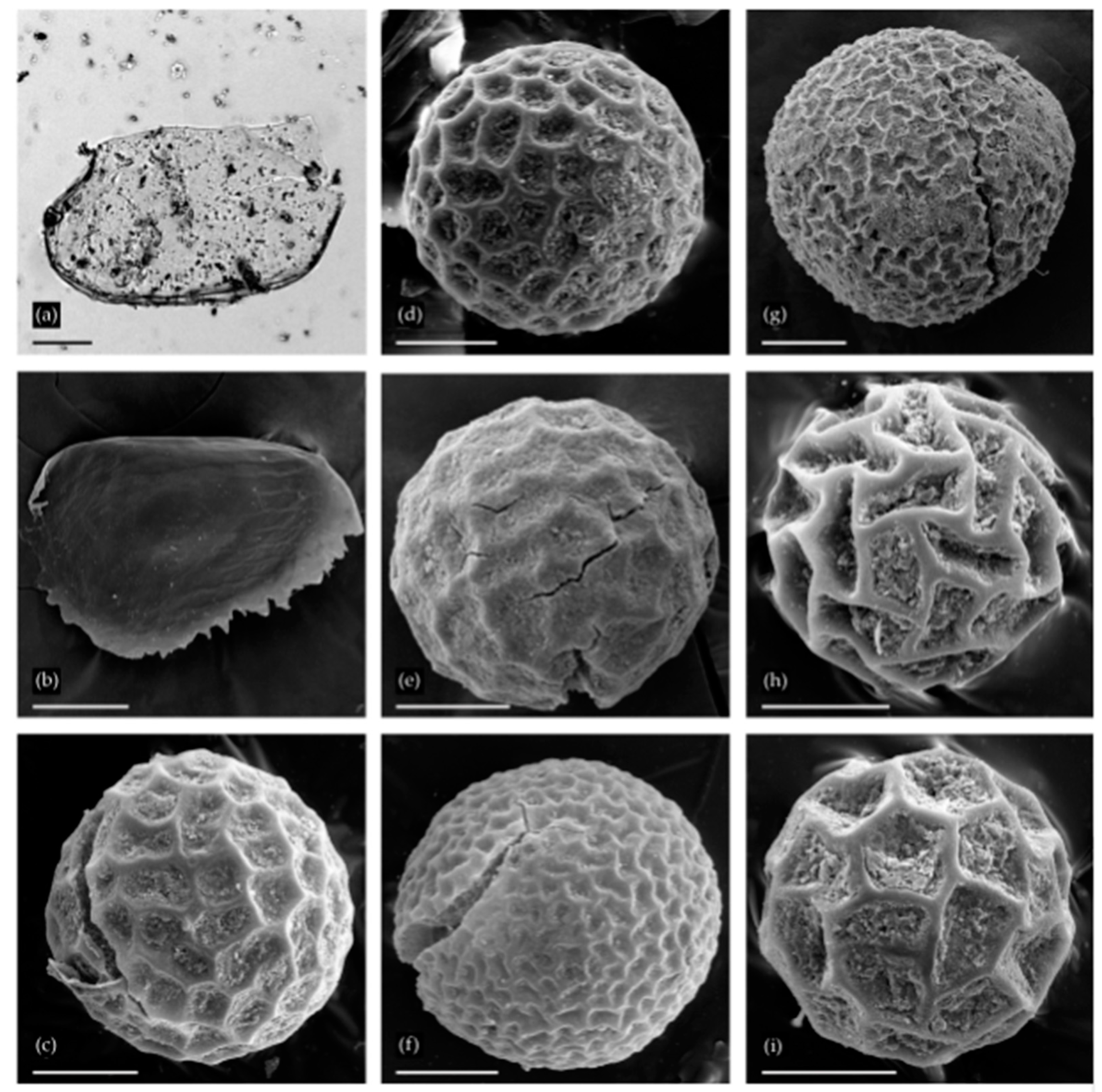 Water 12 03063 g004 Water 12 03063 g004