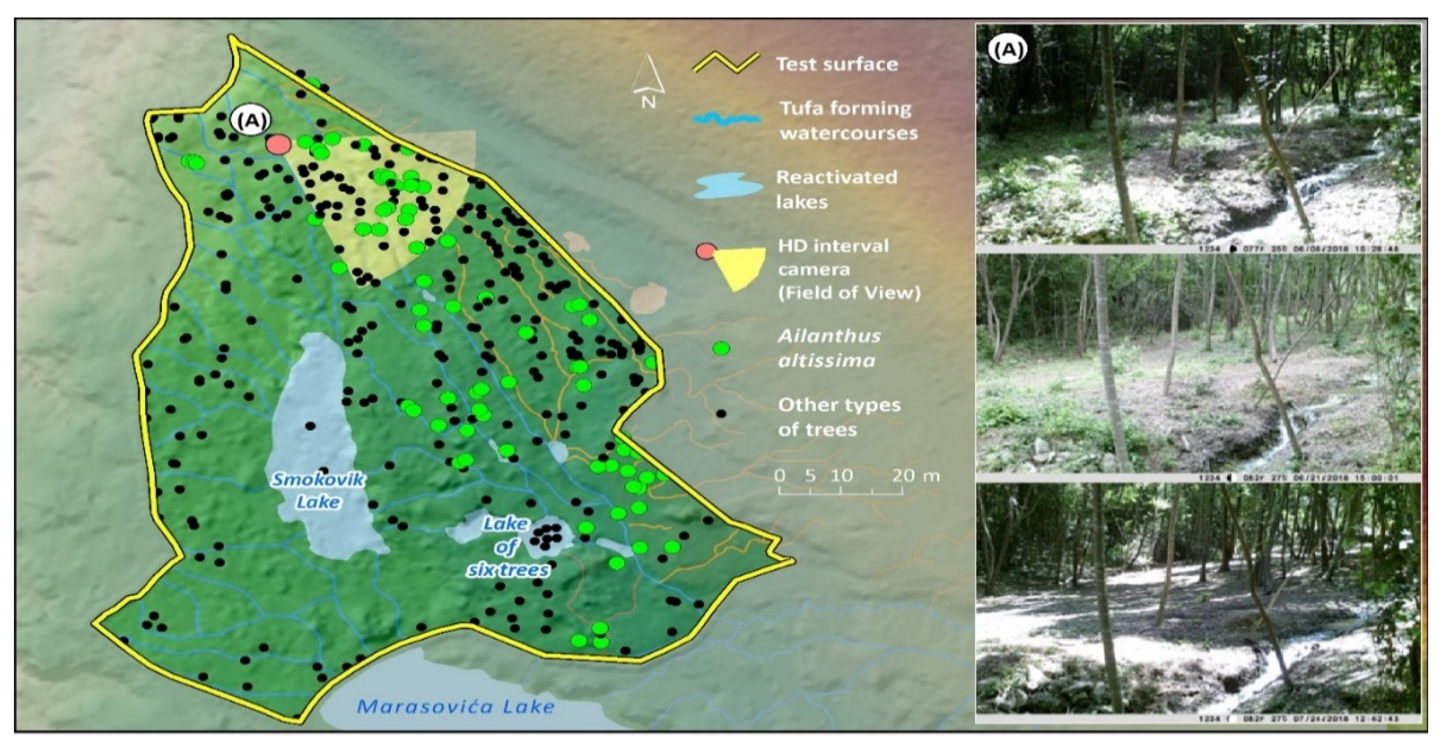 Water 12 03096 g017 Water 12 03096 g017