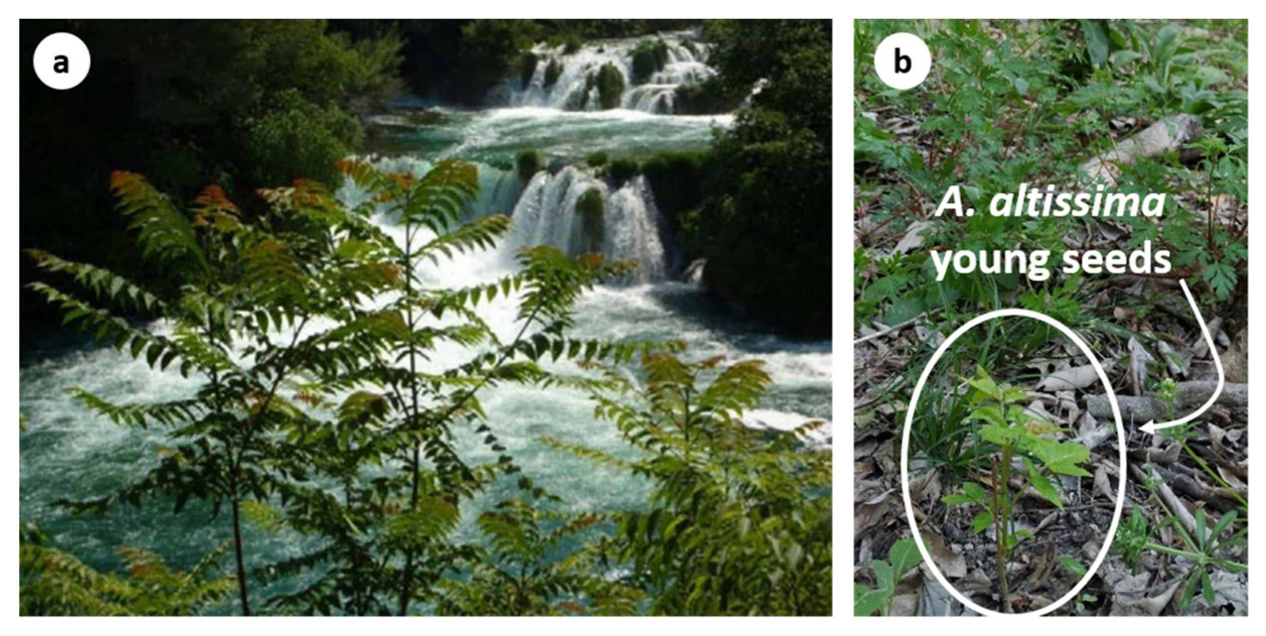 Water 12 03096 g018 Water 12 03096 g018