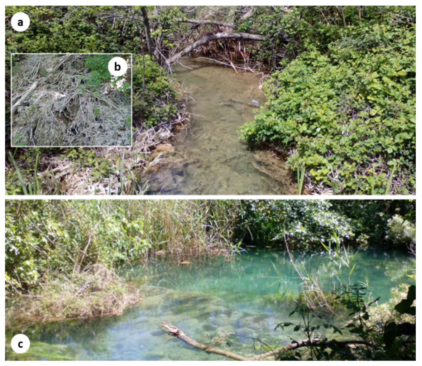 Water 12 03096 g019 Water 12 03096 g019