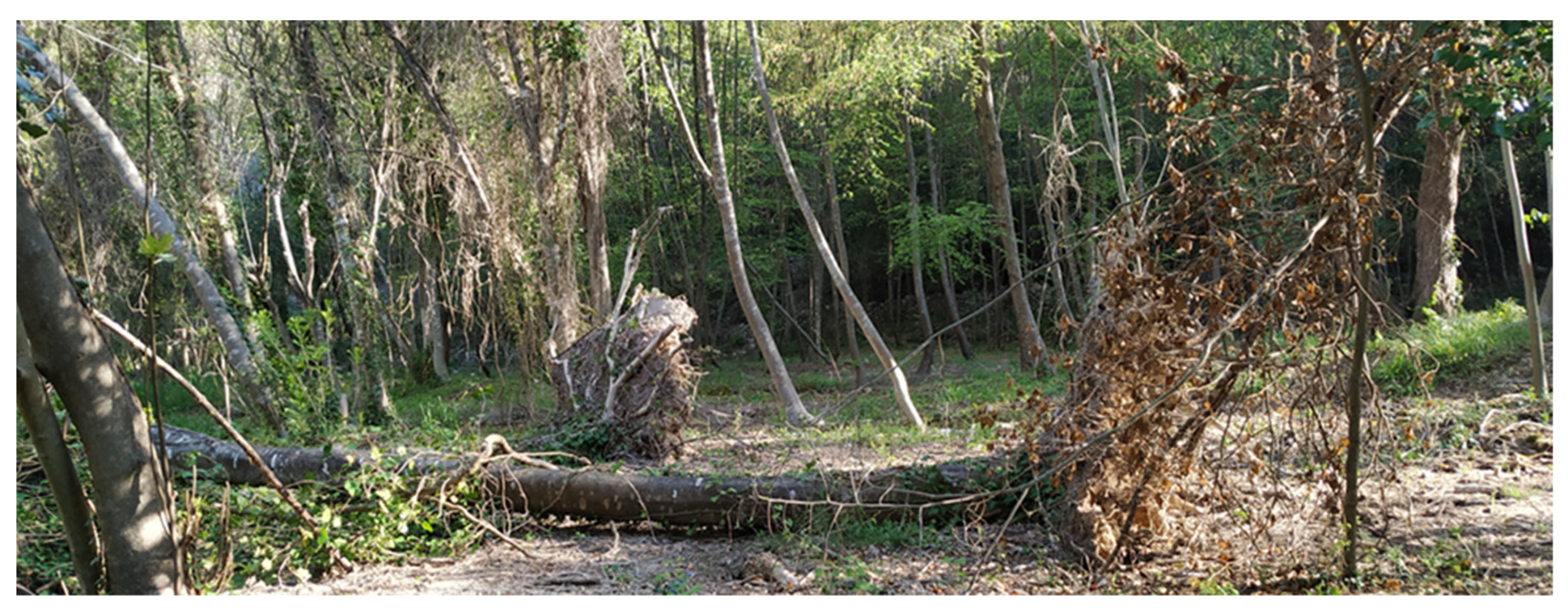 Water 12 03096 g020 Water 12 03096 g020