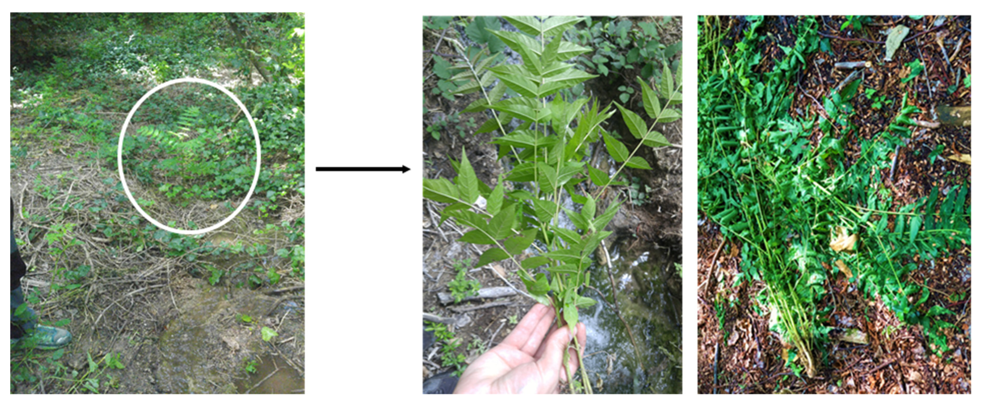 Water 12 03096 g026 Water 12 03096 g026