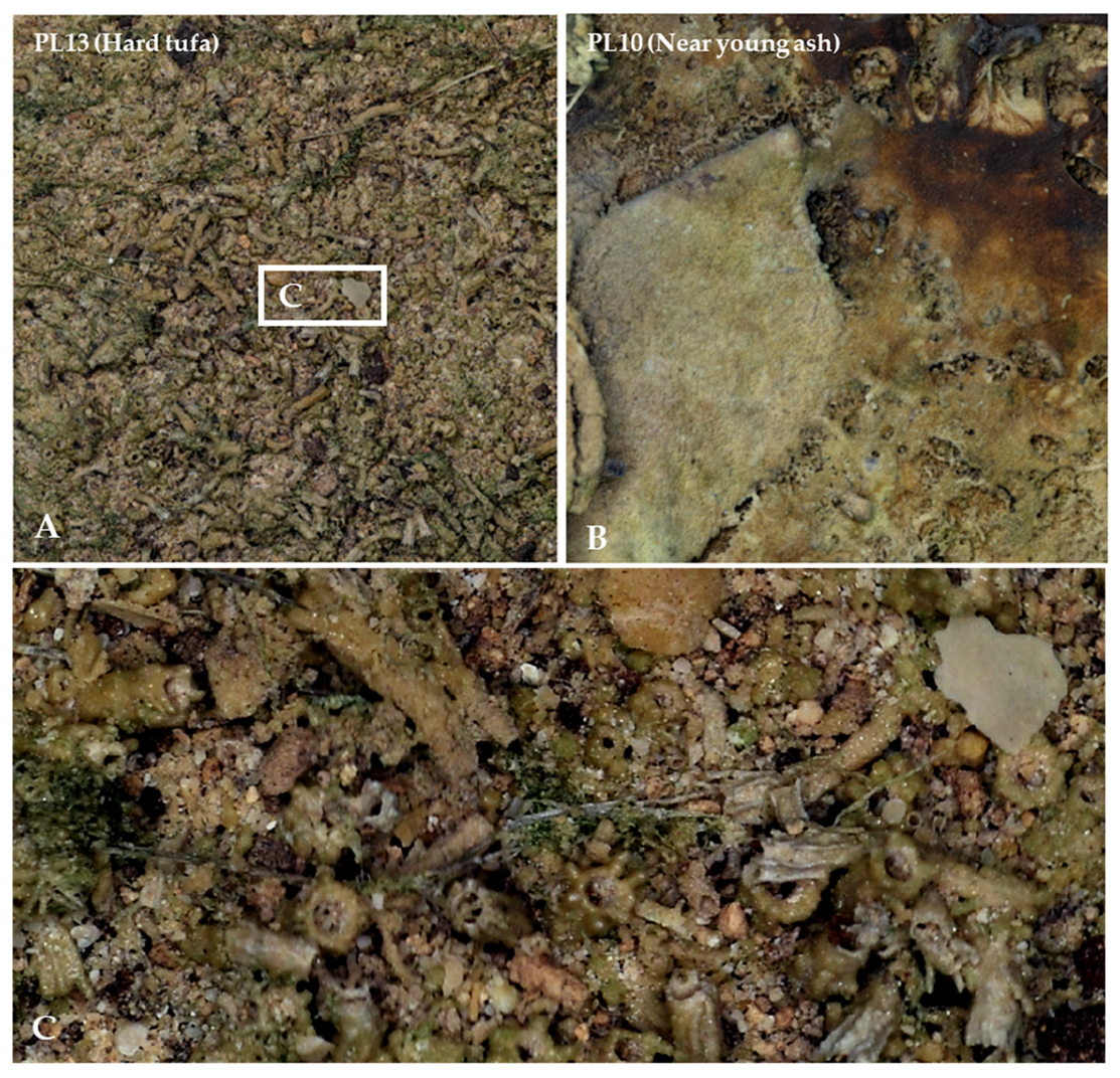 Water 12 03096 g033 Water 12 03096 g033