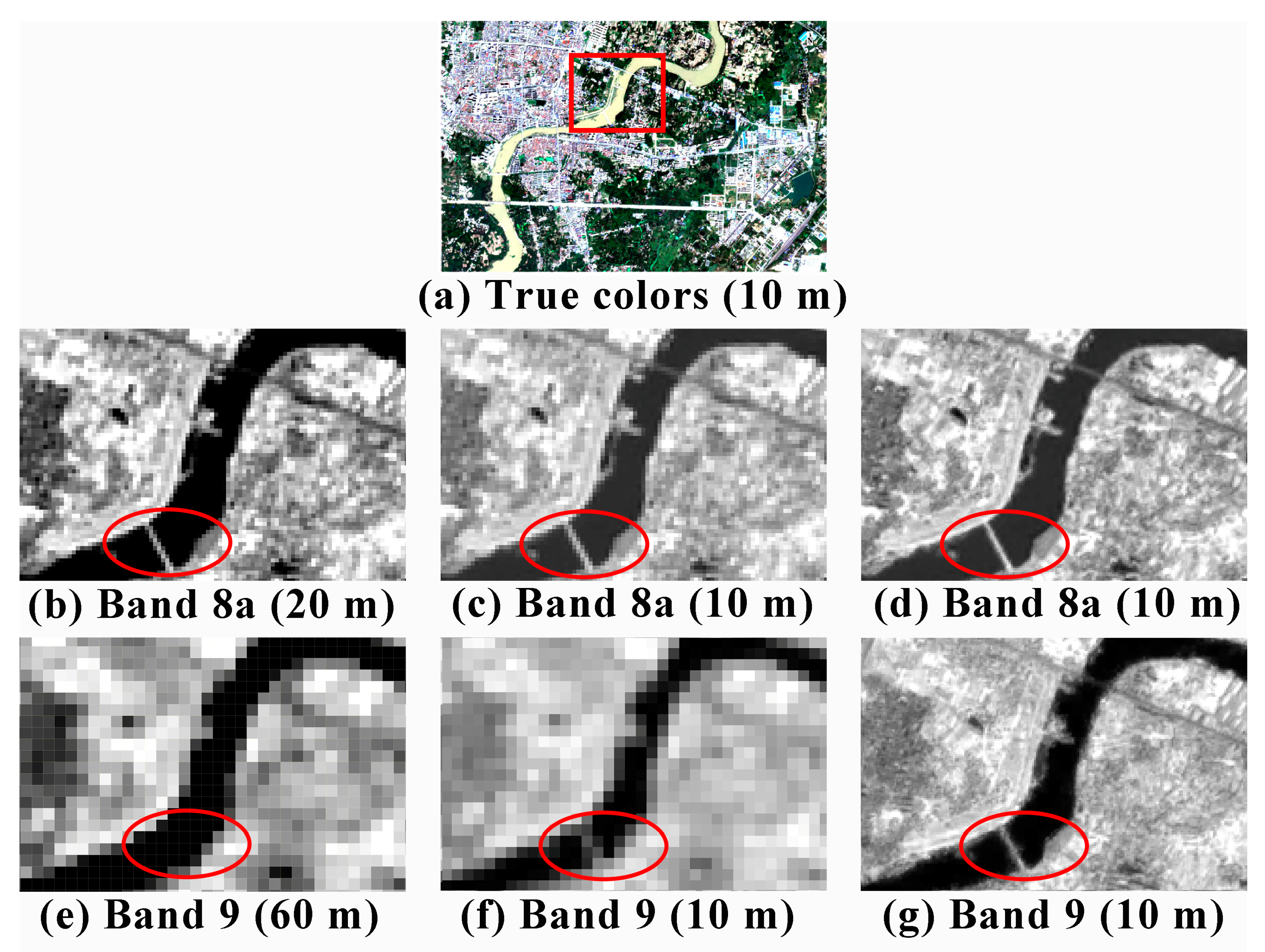 Water Free Full Text Remote Estimation Of Water Quality Parameters Of Medium And Small Sized Inland Rivers Using Sentinel 2 Imagery Html Water Free Full Text Remote Estimation Of Water Quality Parameters Of Medium And Small Sized Inland Rivers Using Sentinel 2 Imagery Html