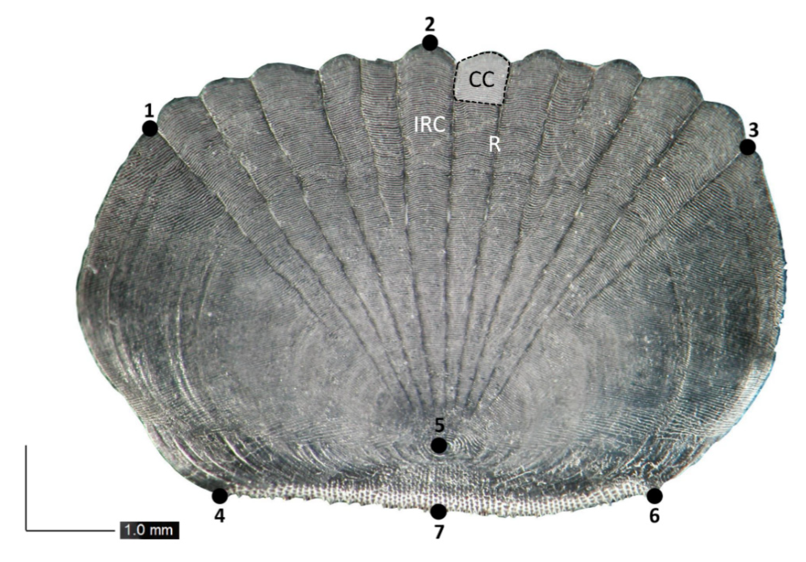 Water 12 03186 g002 Water 12 03186 g002