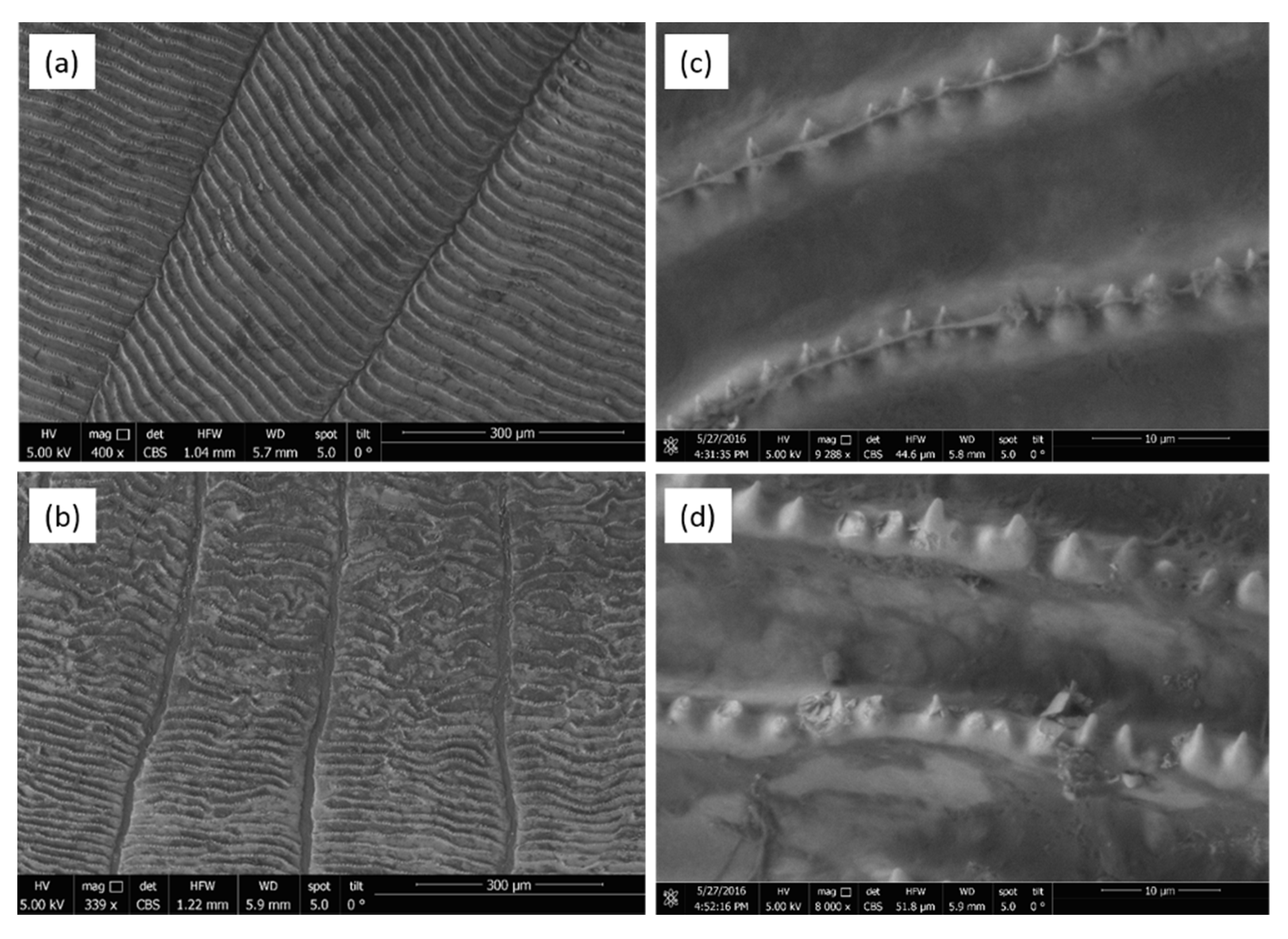 Water 12 03186 g005 Water 12 03186 g005