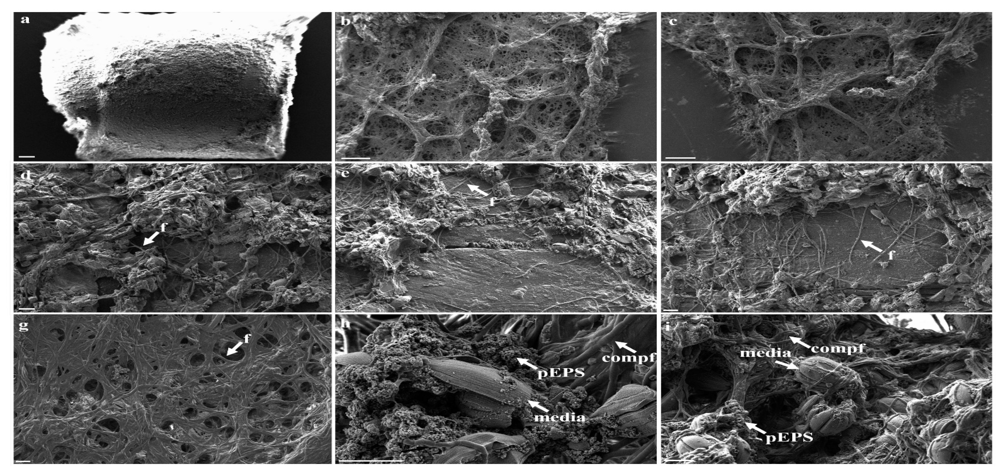 Water 12 03216 g003 Water 12 03216 g003