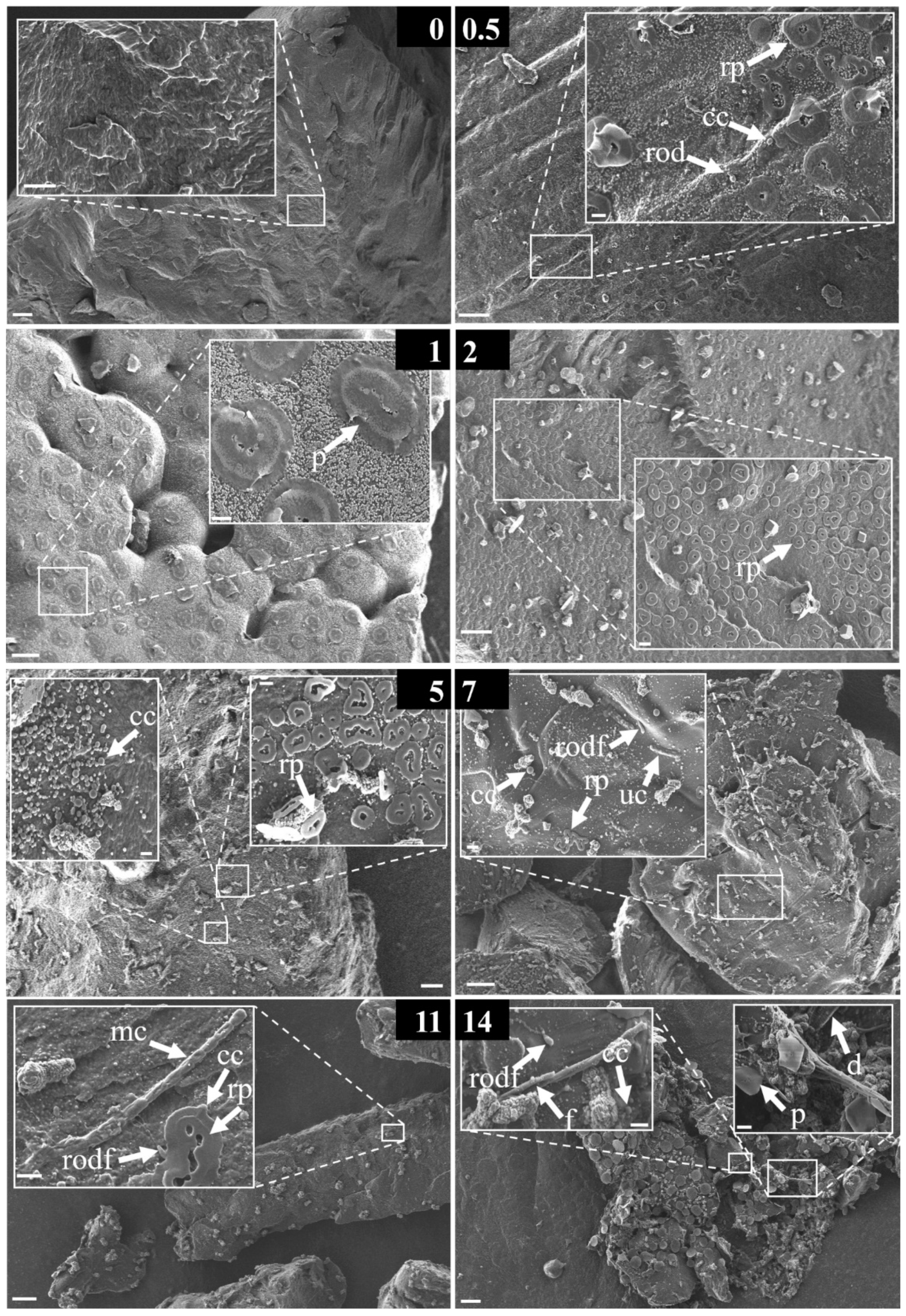 Water 12 03216 g004 Water 12 03216 g004