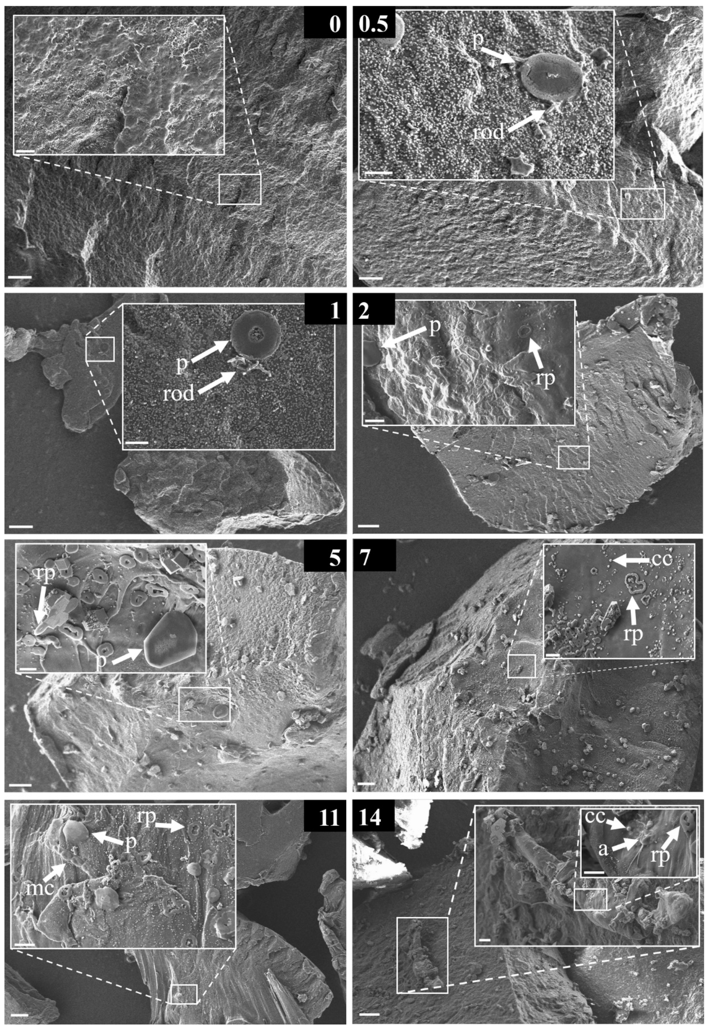 Water 12 03216 g006 Water 12 03216 g006