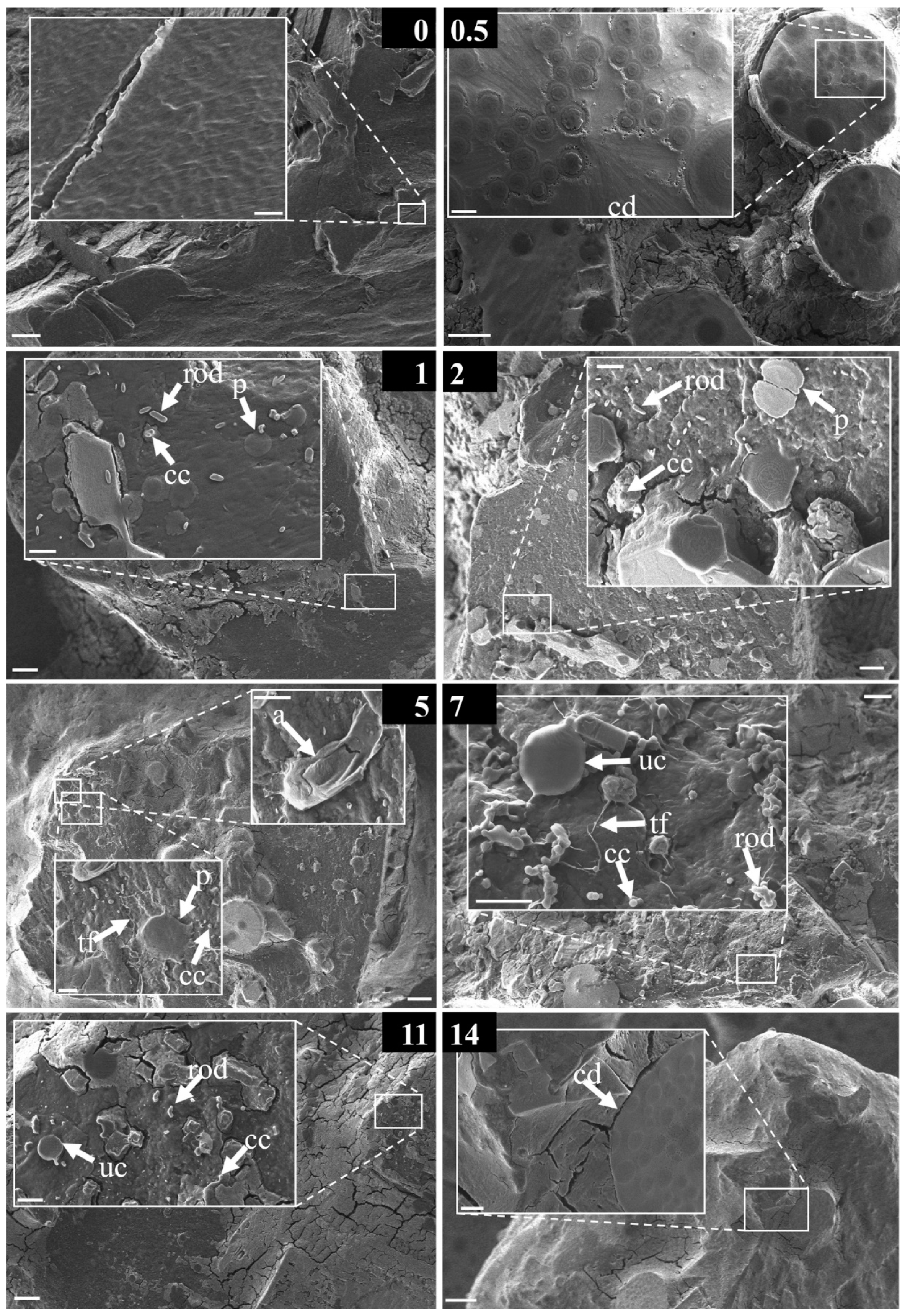 Water 12 03216 g007 Water 12 03216 g007