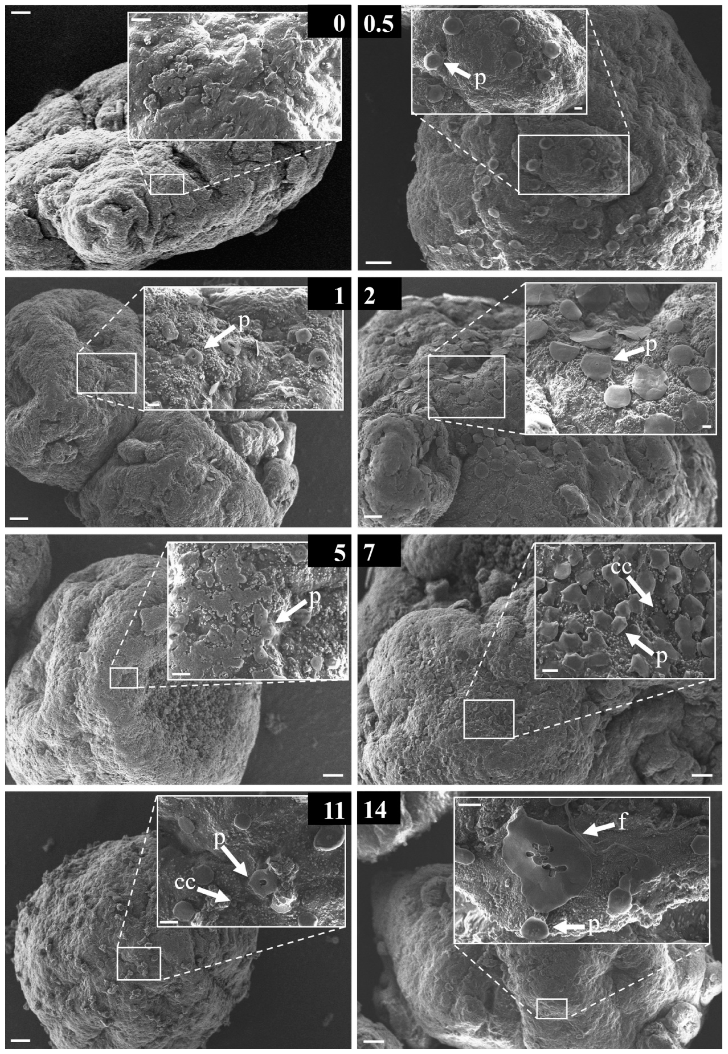 Water 12 03216 g008 Water 12 03216 g008