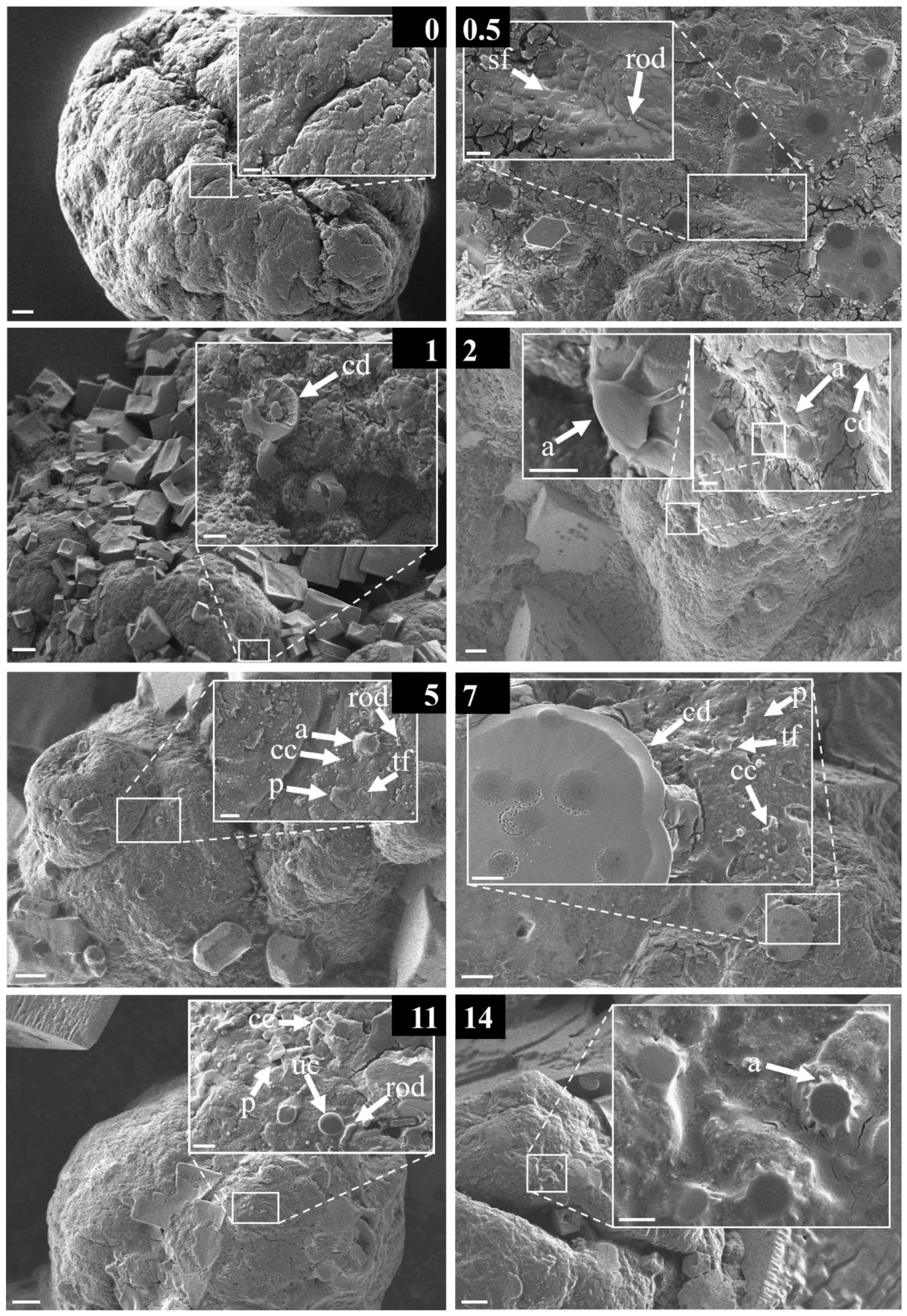 Water 12 03216 g009 Water 12 03216 g009