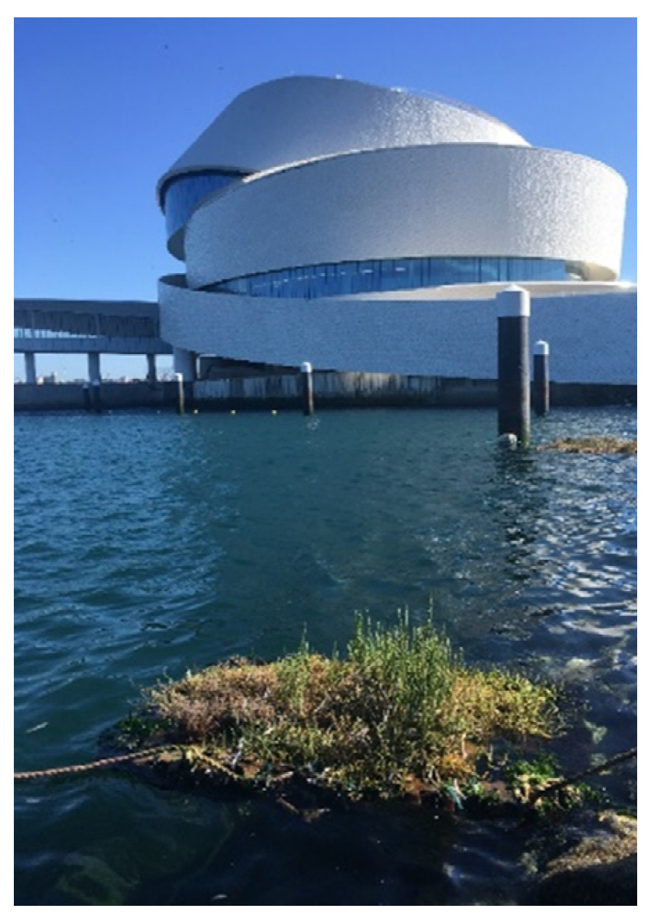 Water 12 03273 g003 Water 12 03273 g003