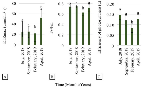 Water Free Full Text Floating Wetland Islands Implementation And Biodiversity Assessment In A Port Marina Html