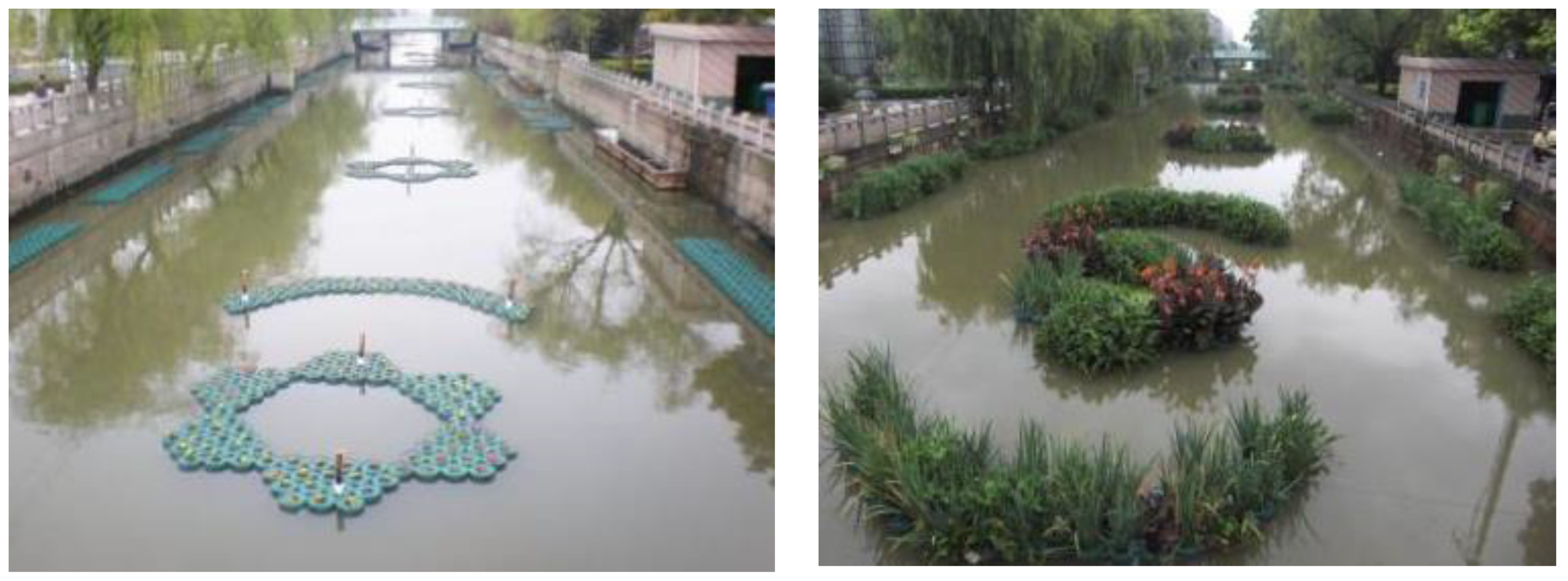 Water 12 03384 g007 550