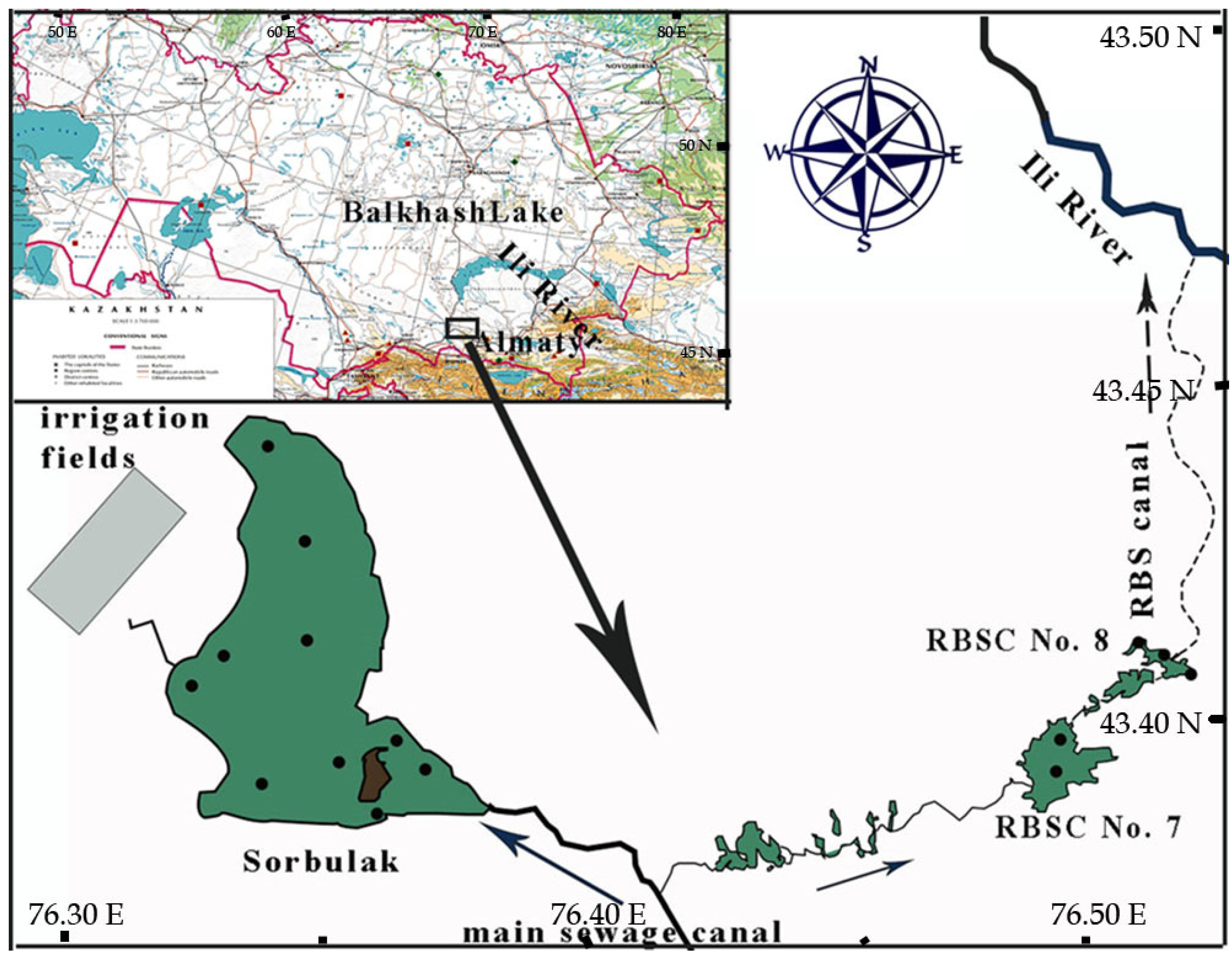 Water 12 03409 g001 Water 12 03409 g001