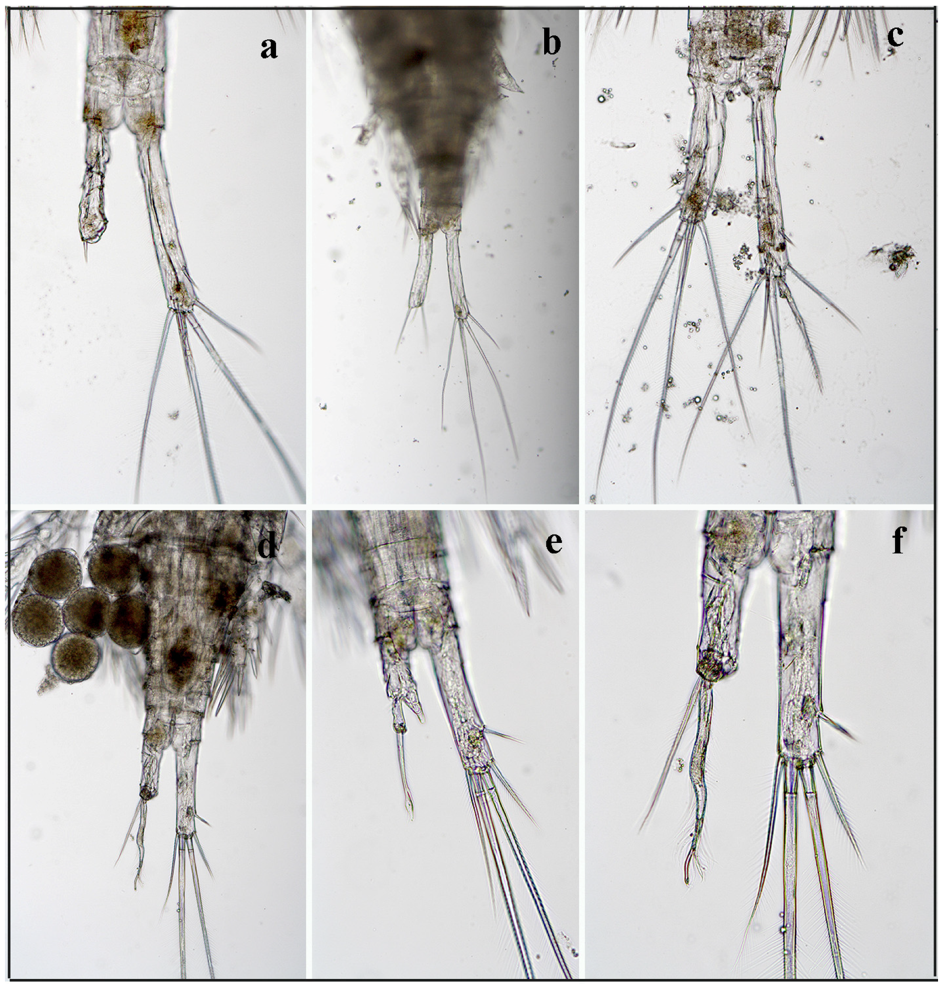 Water 12 03409 g003 Water 12 03409 g003