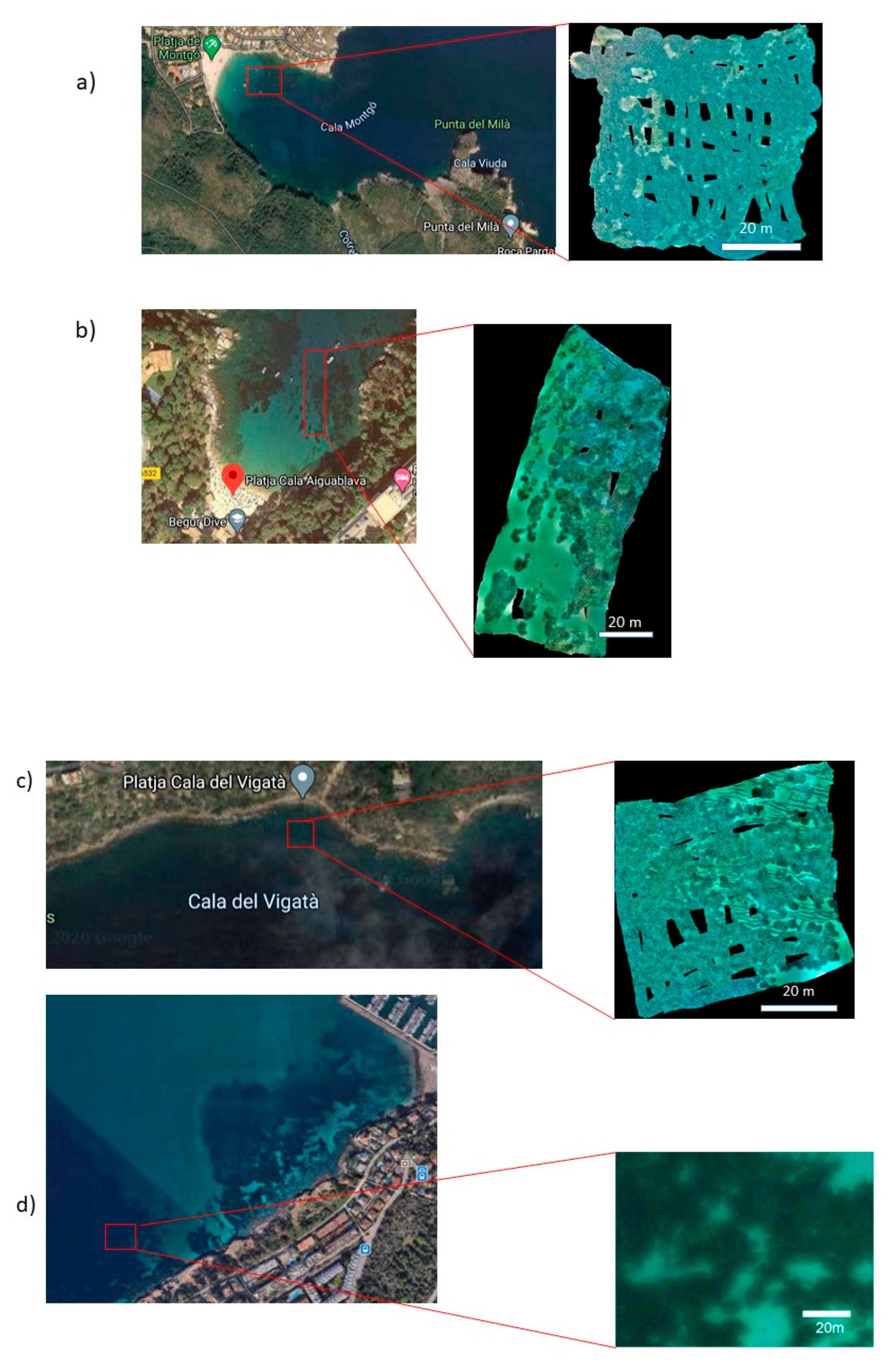 Water 12 03473 g002 Water 12 03473 g002