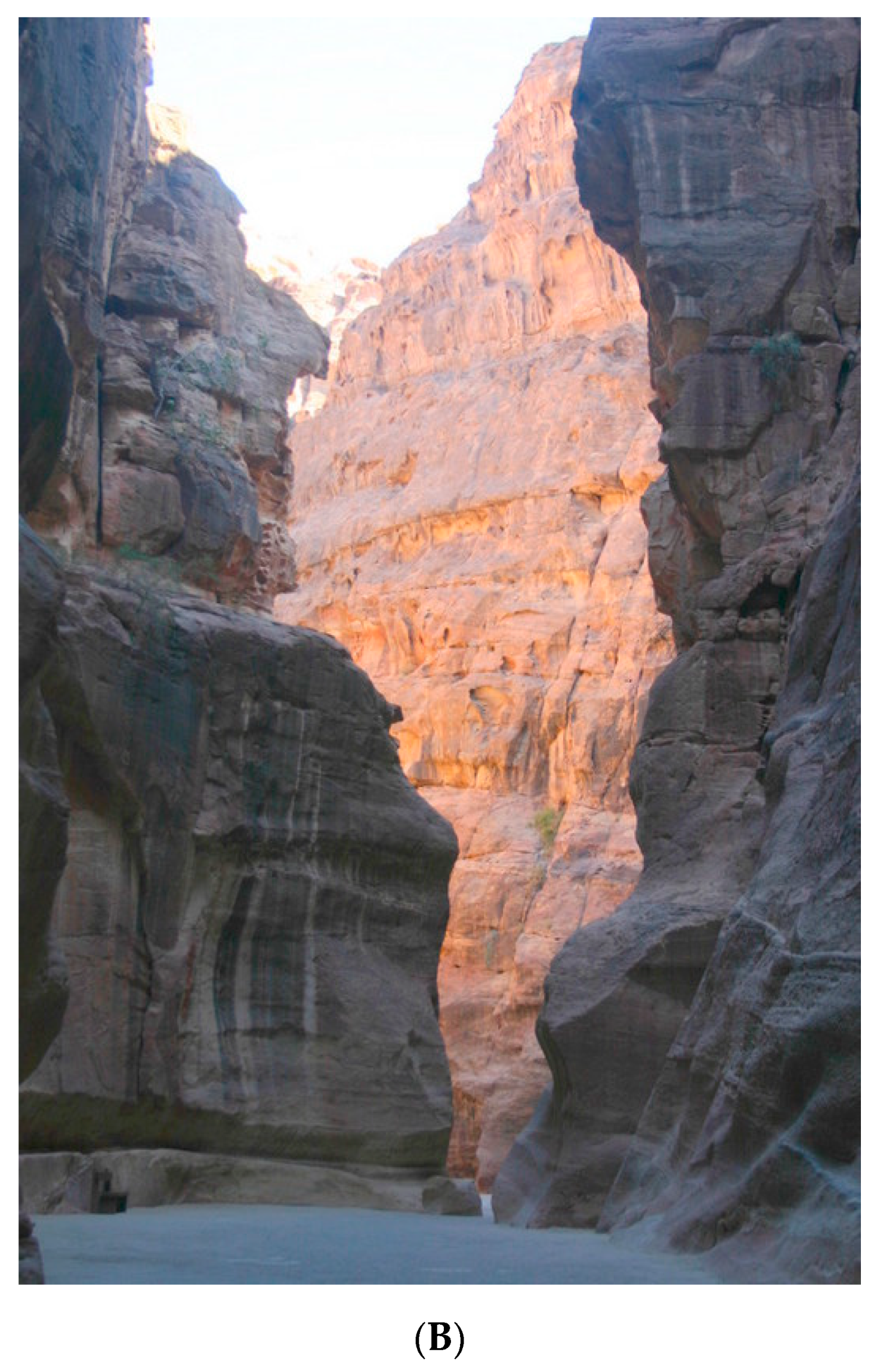 Water 12 03498 g002b 550