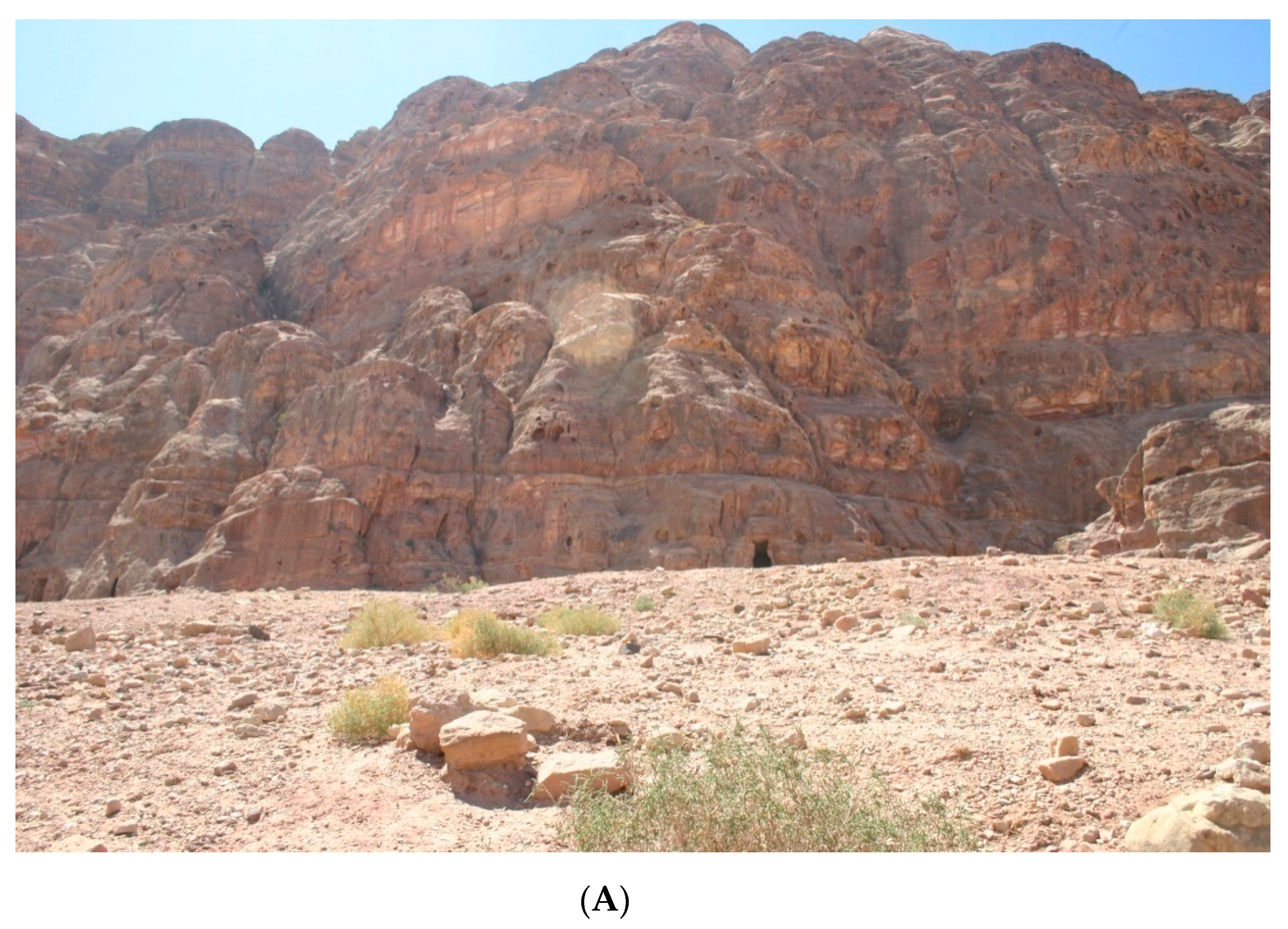 Water 12 03498 g013a 550