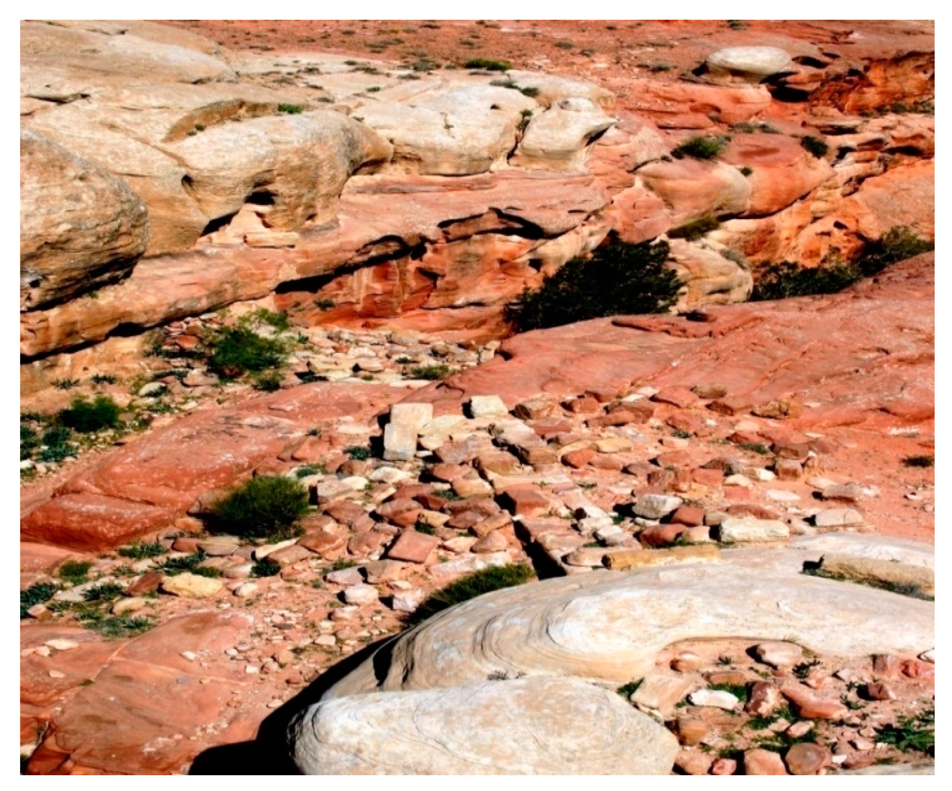 Water 12 03498 g018 550