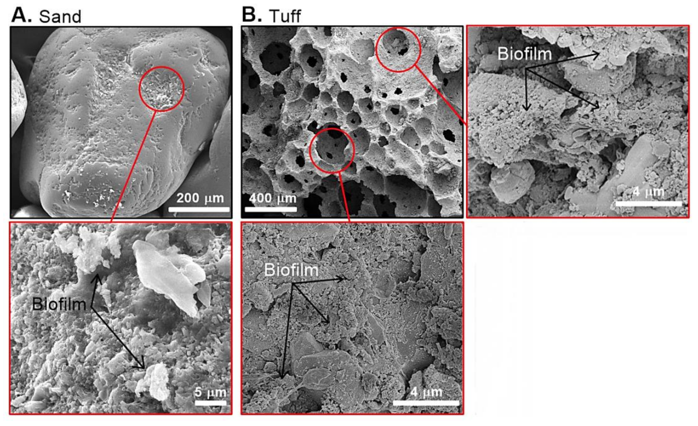 Water 12 03593 g002 Water 12 03593 g002