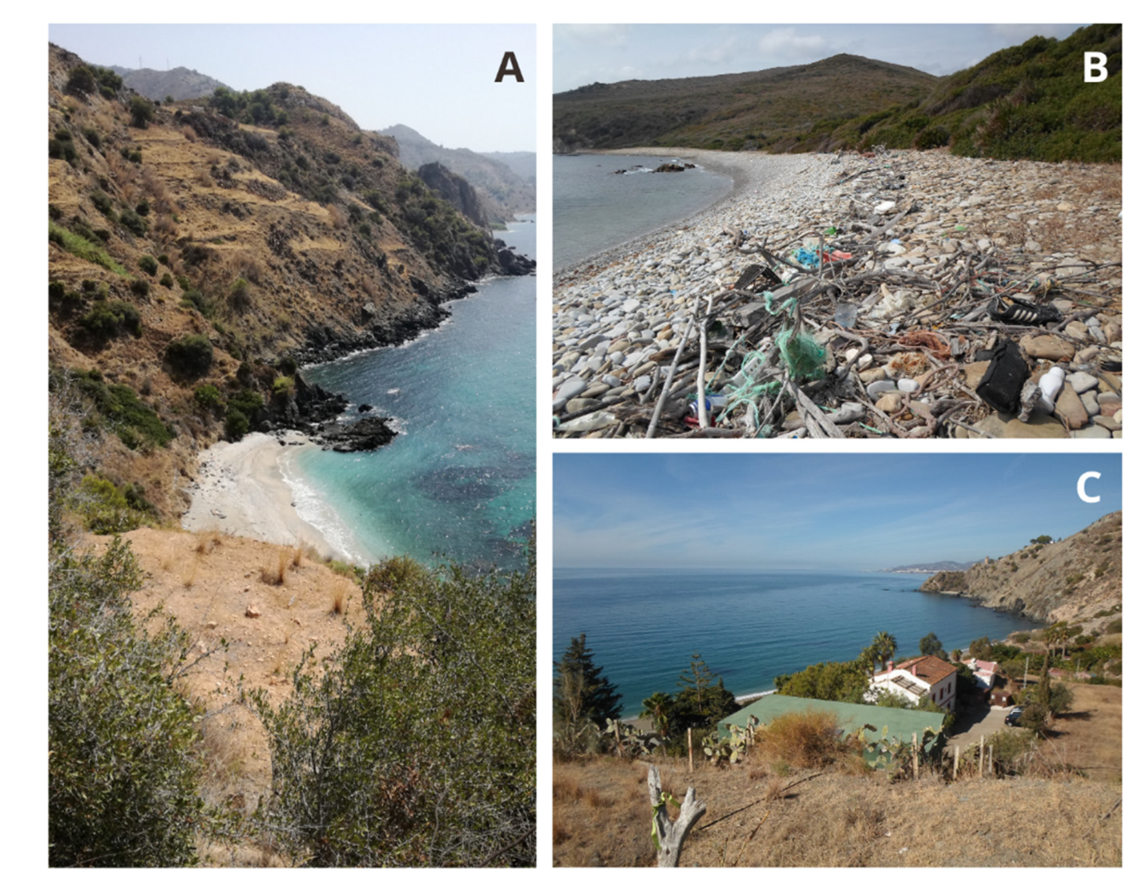 Water | Free Full-Text | An Innovative Approach to Determine Coastal Scenic  Beauty and Sensitivity in a Scenario of Increasing Human Pressure and  Natural Impacts due to Climate Change