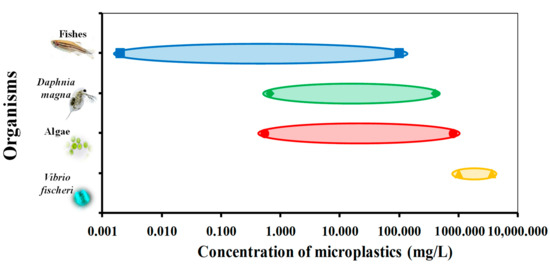 Water 13 00056 g003 550