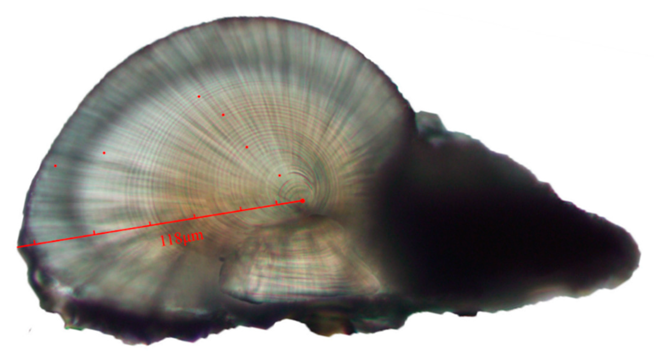 Water 13 00065 g002 Water 13 00065 g002