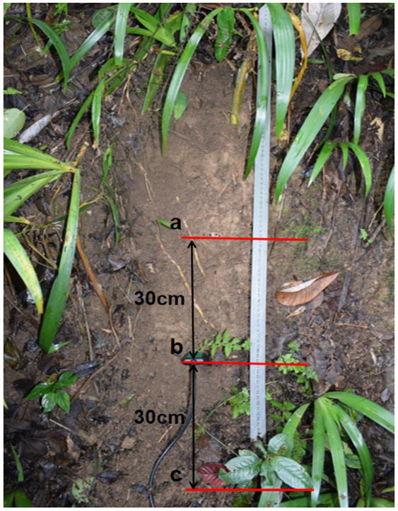 Water 13 00071 g008 Water 13 00071 g008