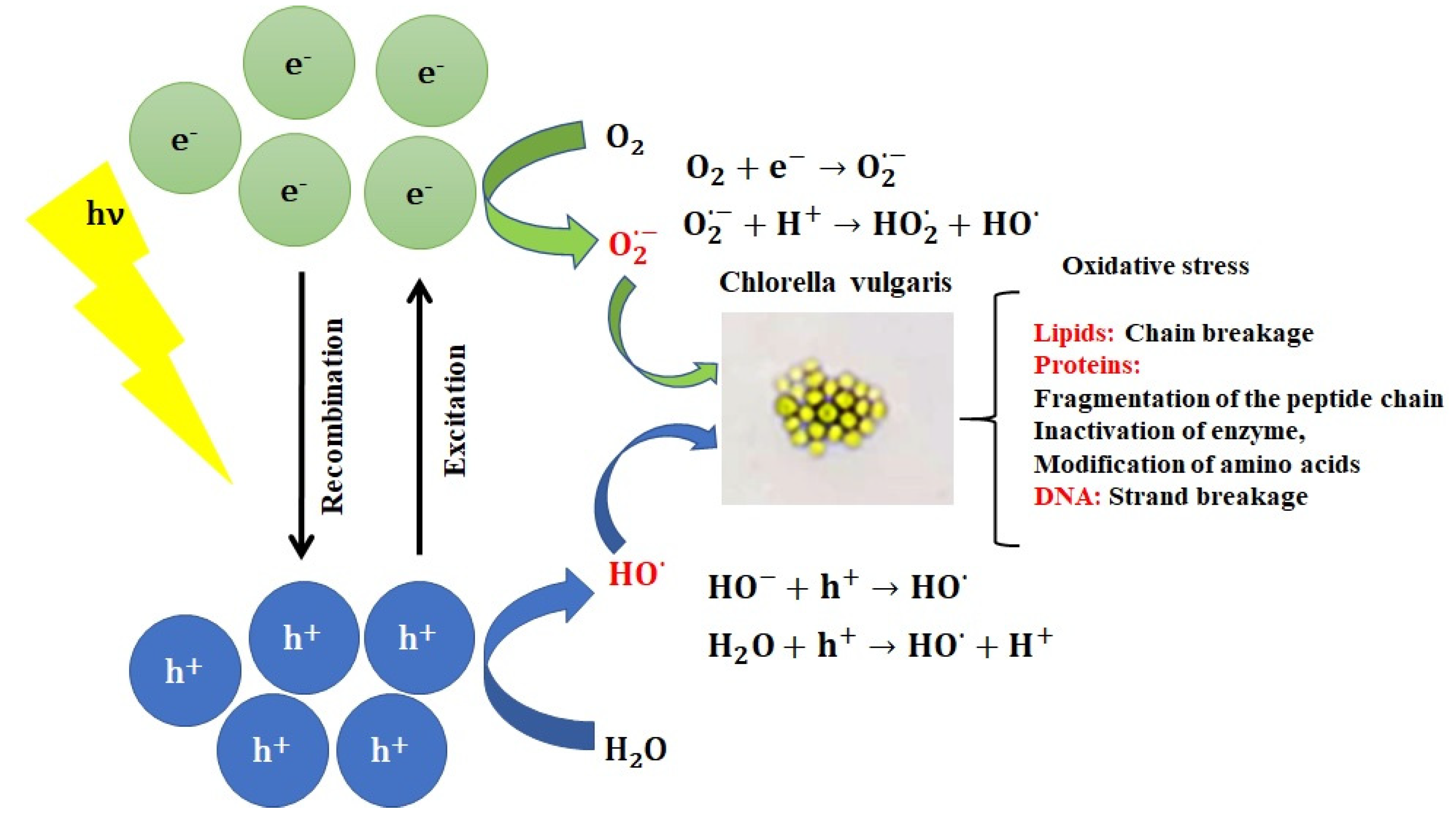 Water 13 00077 g001 Water 13 00077 g001