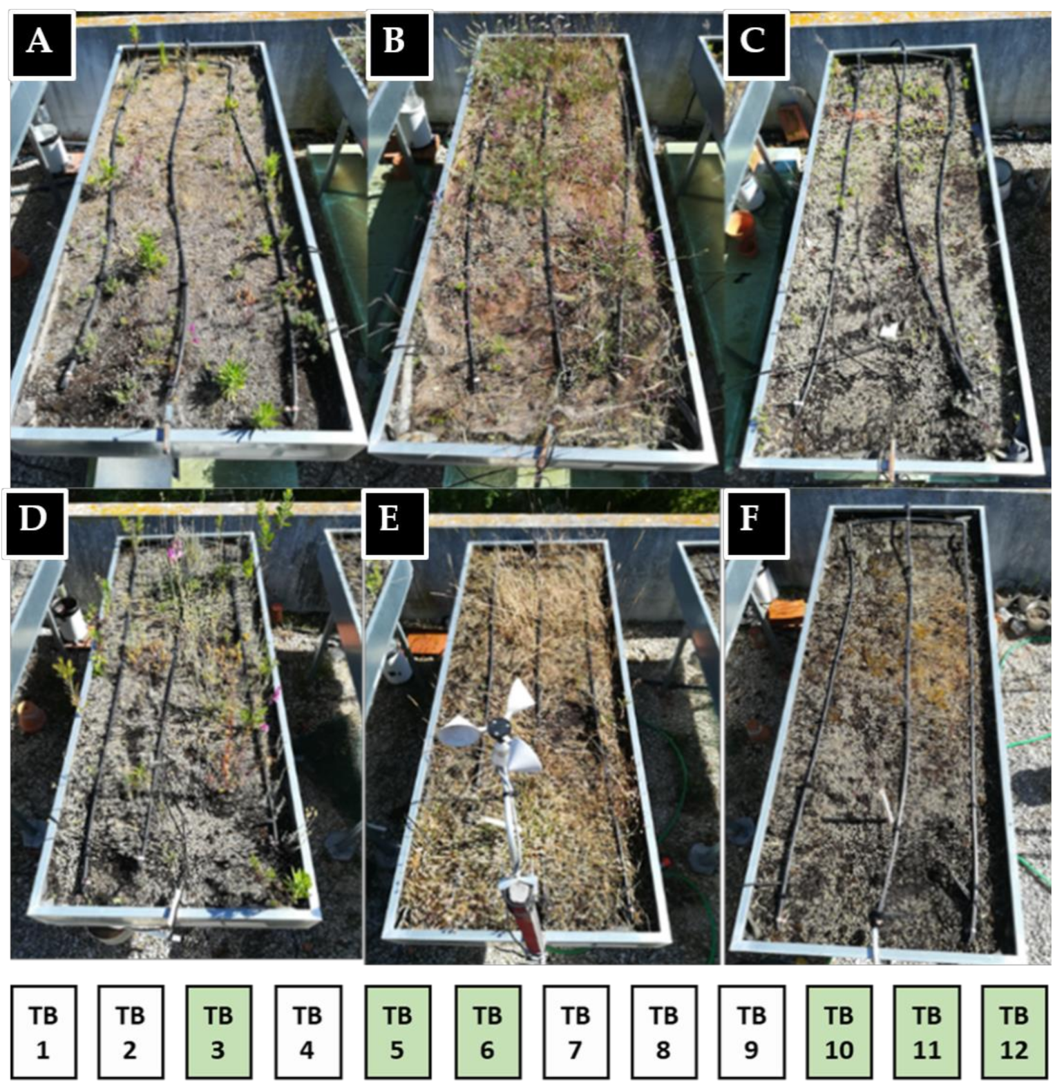 Water 13 00094 g002 Water 13 00094 g002