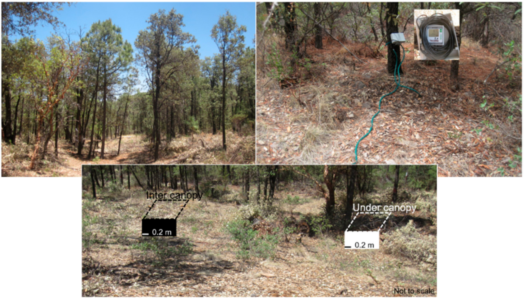 Water 13 00105 g003 Water 13 00105 g003