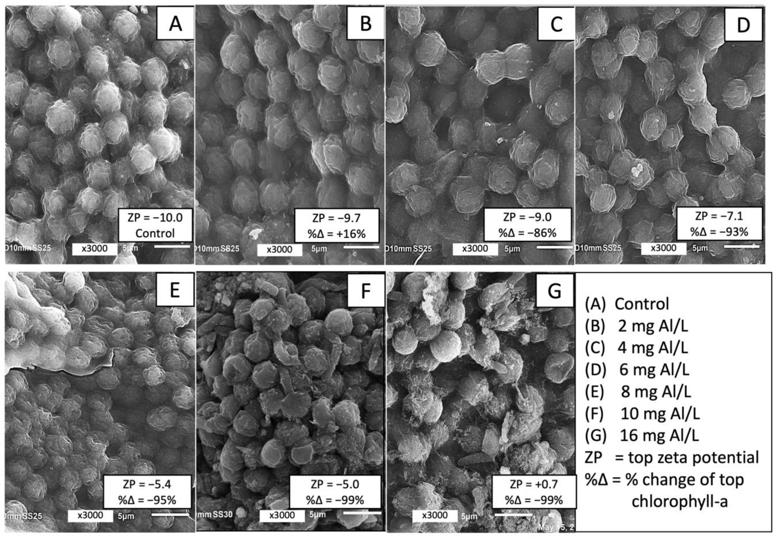 Water 13 00111 g003 Water 13 00111 g003