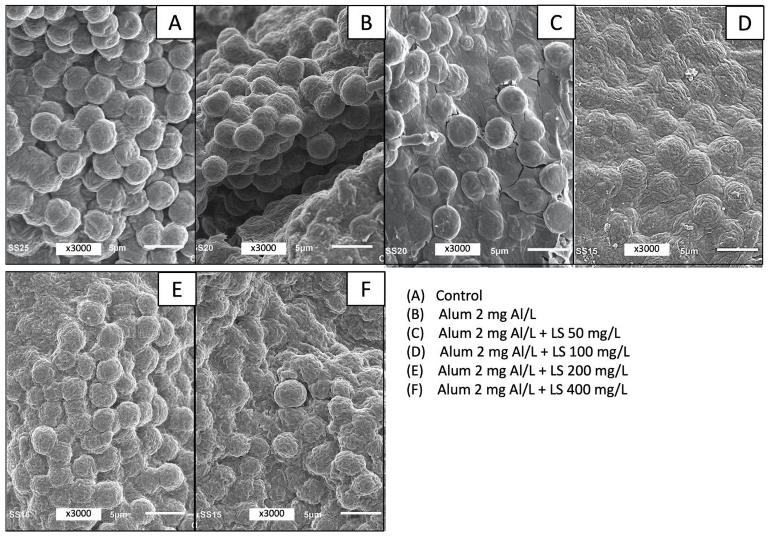 Water 13 00111 g007 Water 13 00111 g007