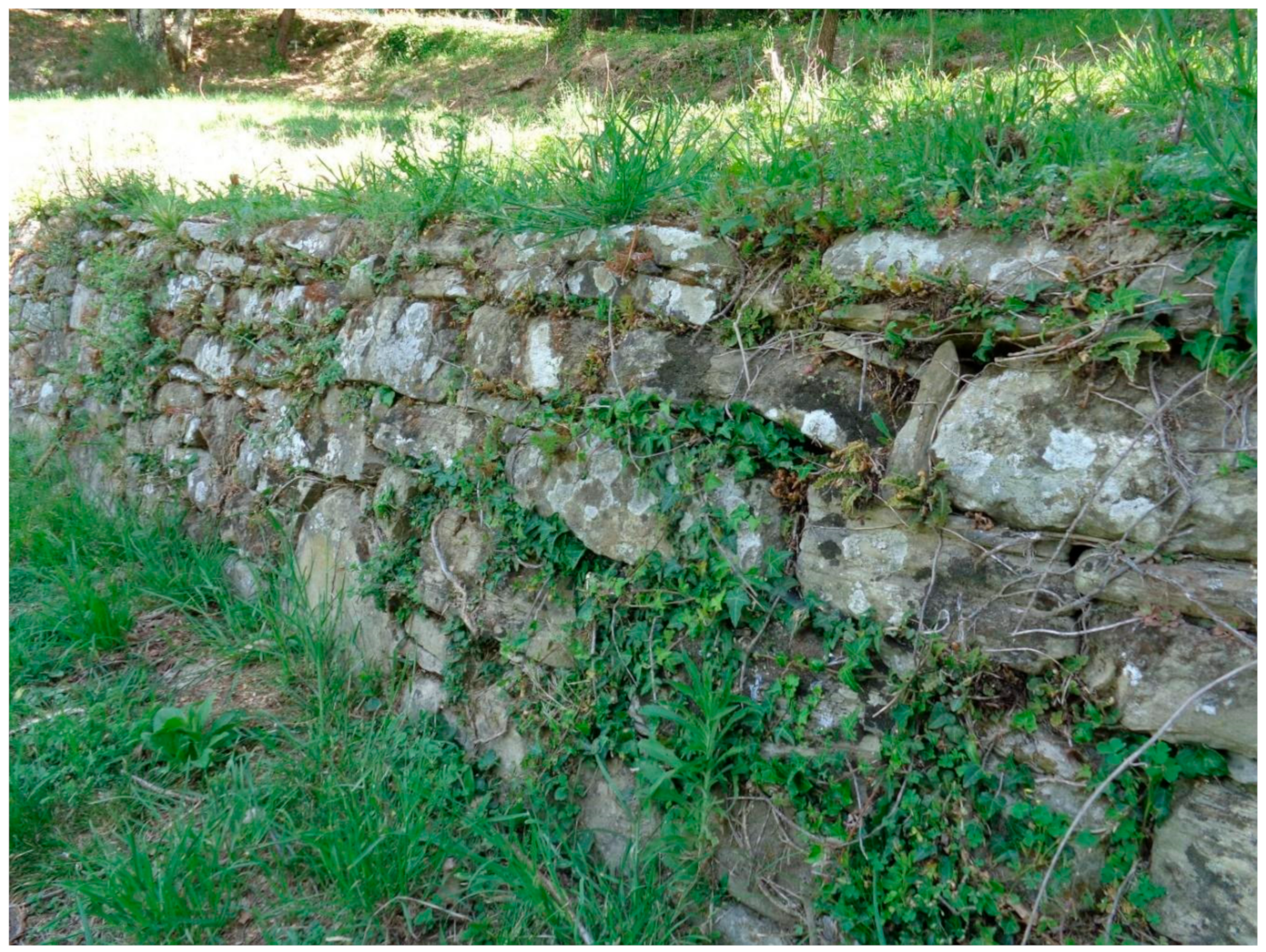 Water 13 00113 g0a1 Water 13 00113 g0a1