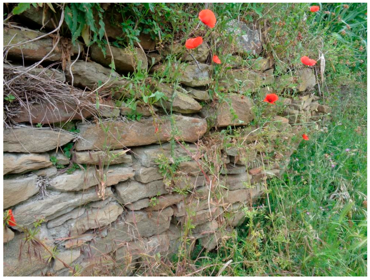 Water 13 00113 g0a4 Water 13 00113 g0a4