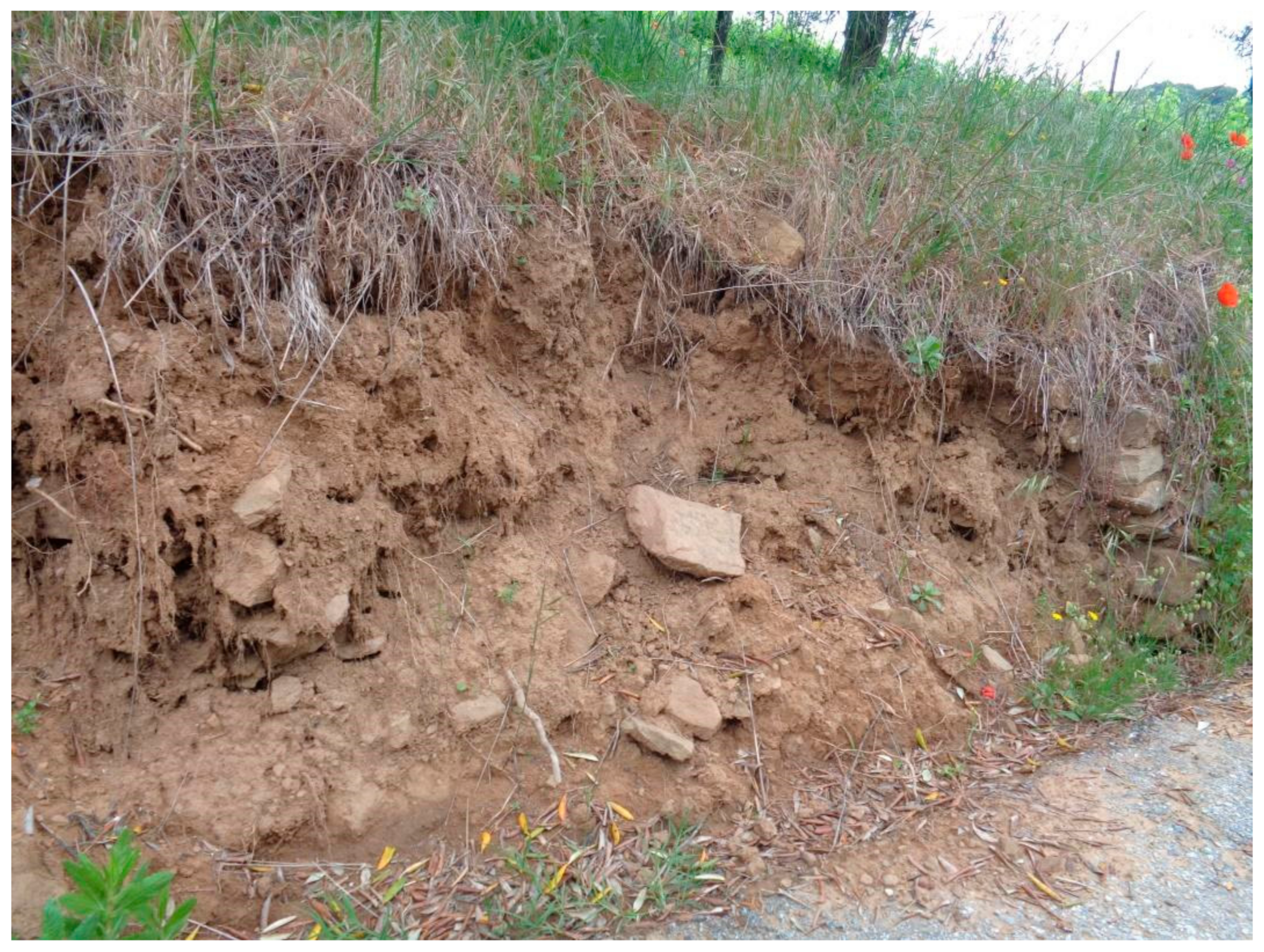 Water 13 00113 g0a6 Water 13 00113 g0a6