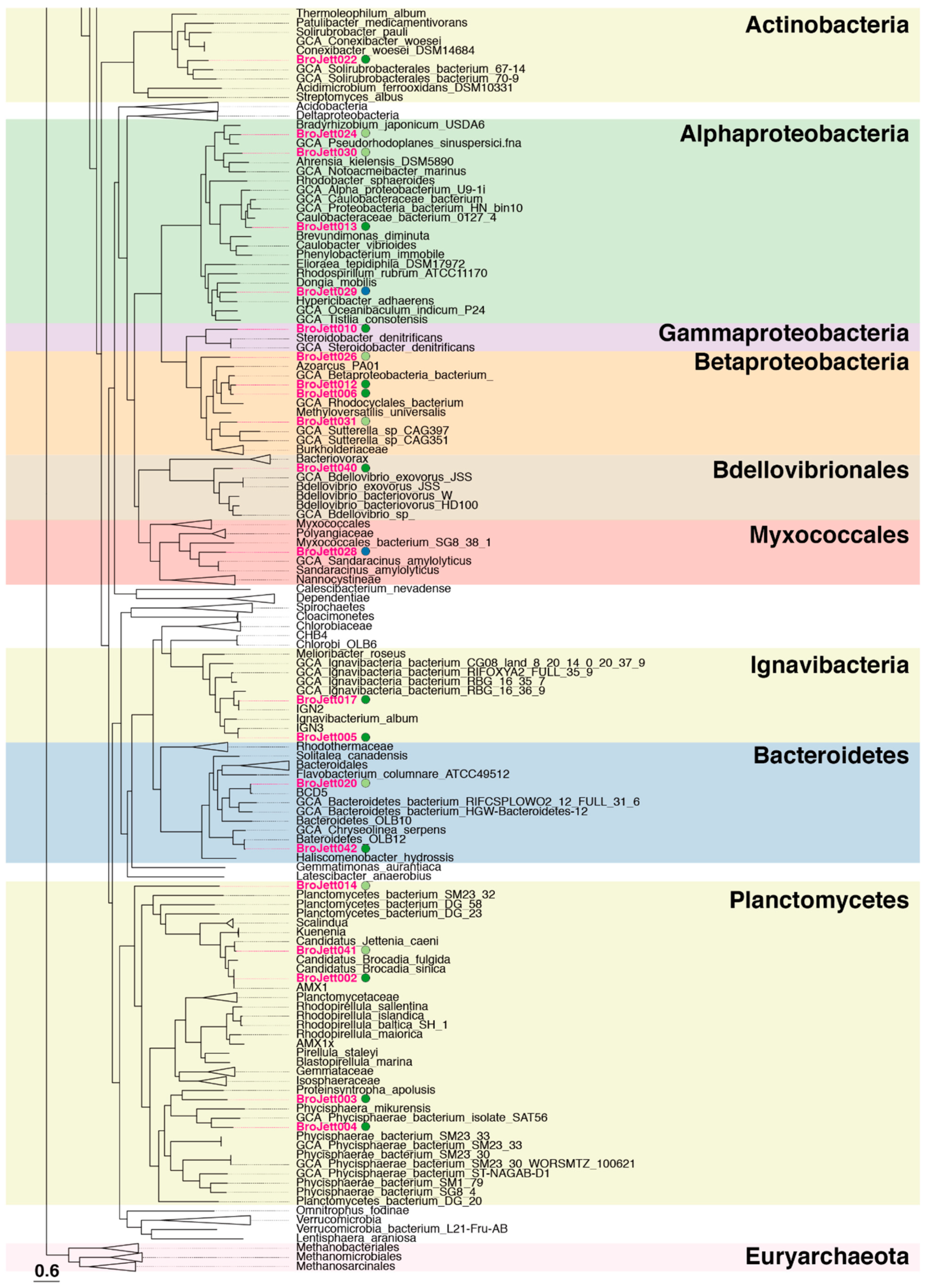 Water 13 00208 g002b Water 13 00208 g002b