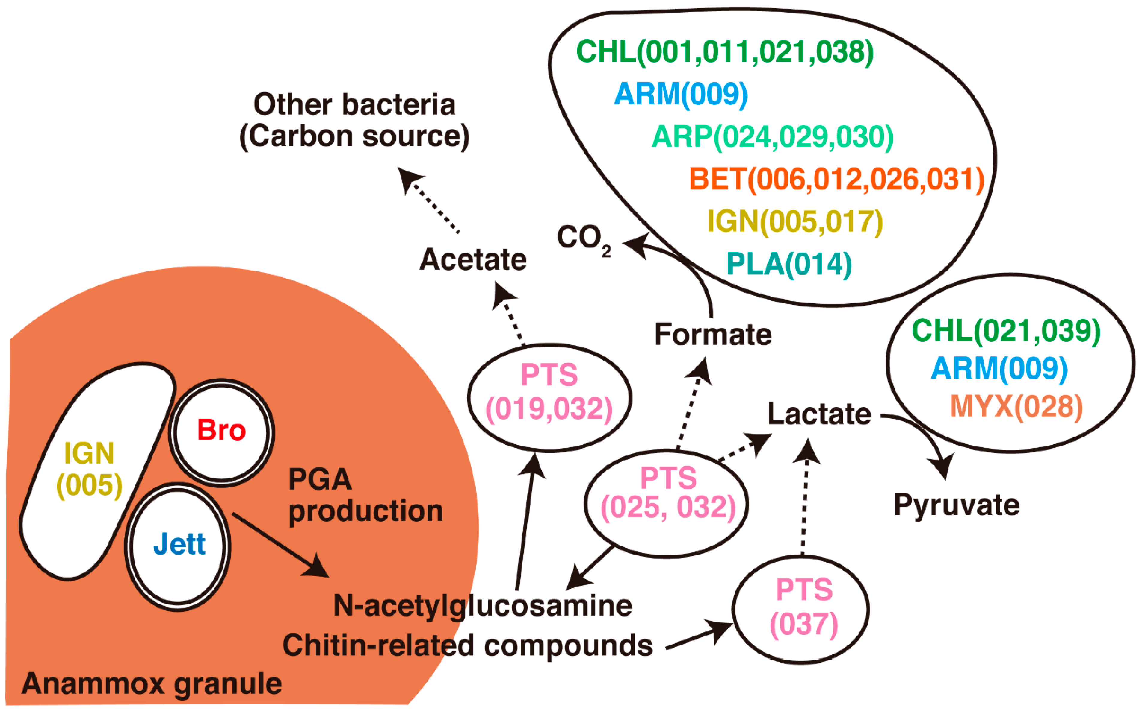 Water 13 00208 g005 Water 13 00208 g005