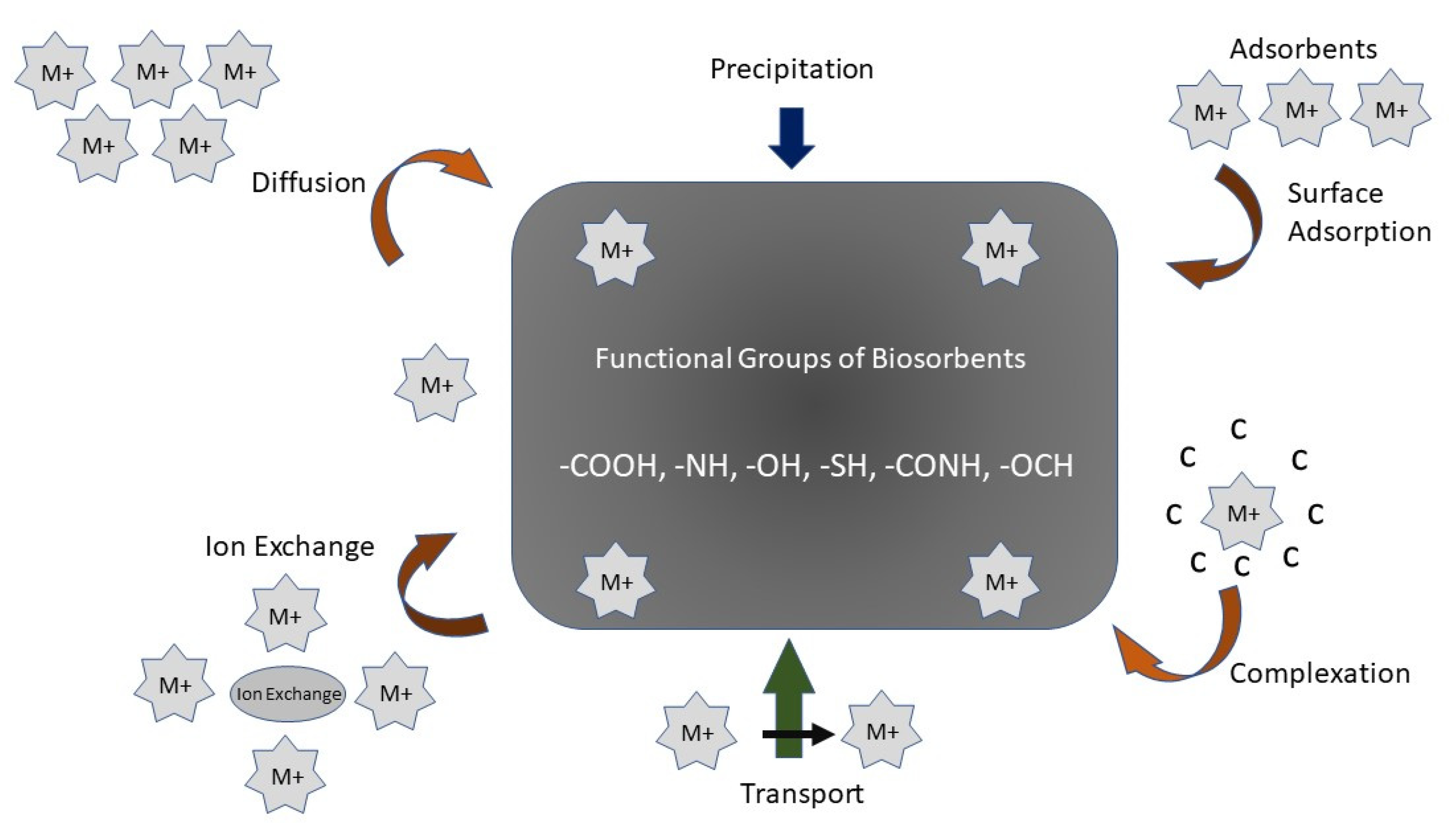 Water 13 00215 g002 Water 13 00215 g002